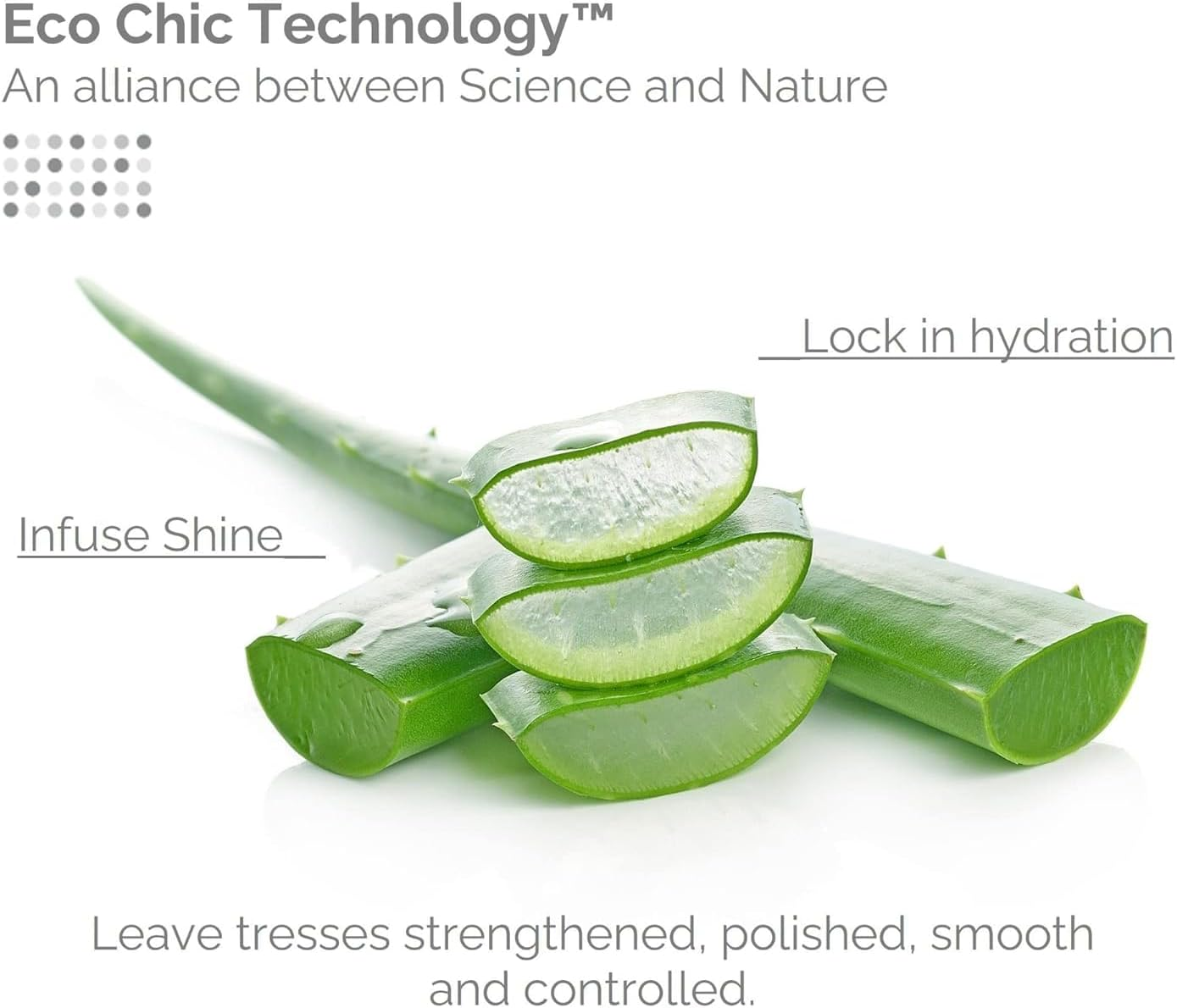 GIOVANNI Eco Chic Smooth as Silk Deep Moisture Shampoo - Apple + Aloe Extracts, Calms Frizz, Detangles, Wash & Go, Lauryl & Laureth Sulfate Free, Paraben Free, Color Safe - 8.5 Oz (Pack of 3) image number 3