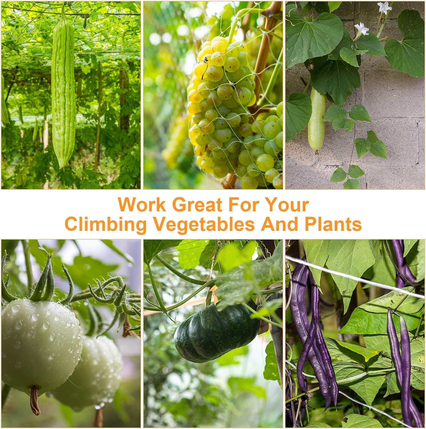 Betybedy 5 X 15FT Trellis Netting, Heavy-Duty Polyester Plant Trellis Netting, Square Mesh Net for Climbing Plant, Fruits, Vegetables, Vines, Grow Tents (1 Pack, White) image number 3