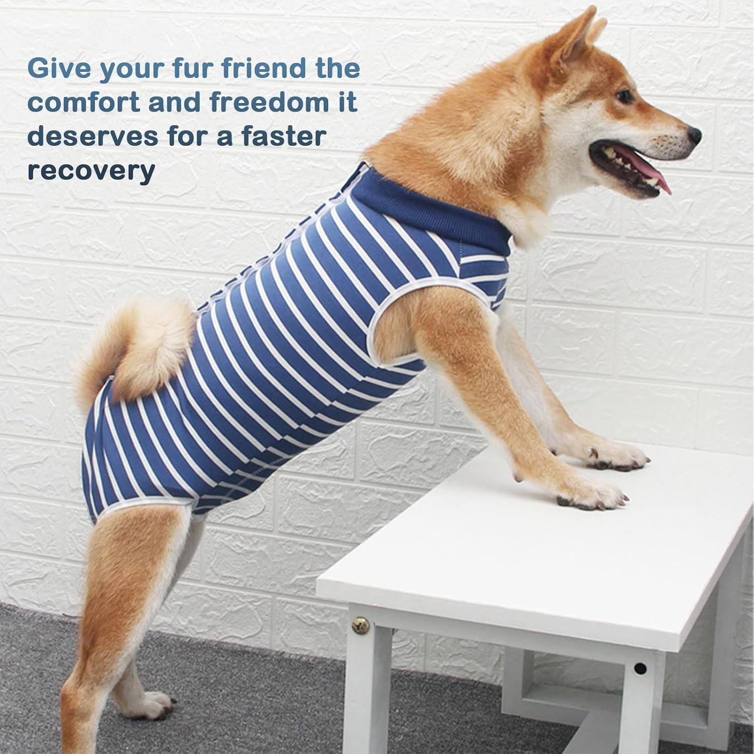 TYXHXTF 2PCS Dog Surgery Recovery Suit Dog after Surgery,Dog Recovery Suit Female Male,Dog Body Suit after Surgery,Post Surgery Dog Onesie,Adjustable Dog Post Surgery Body Suit(Blue) image number 3