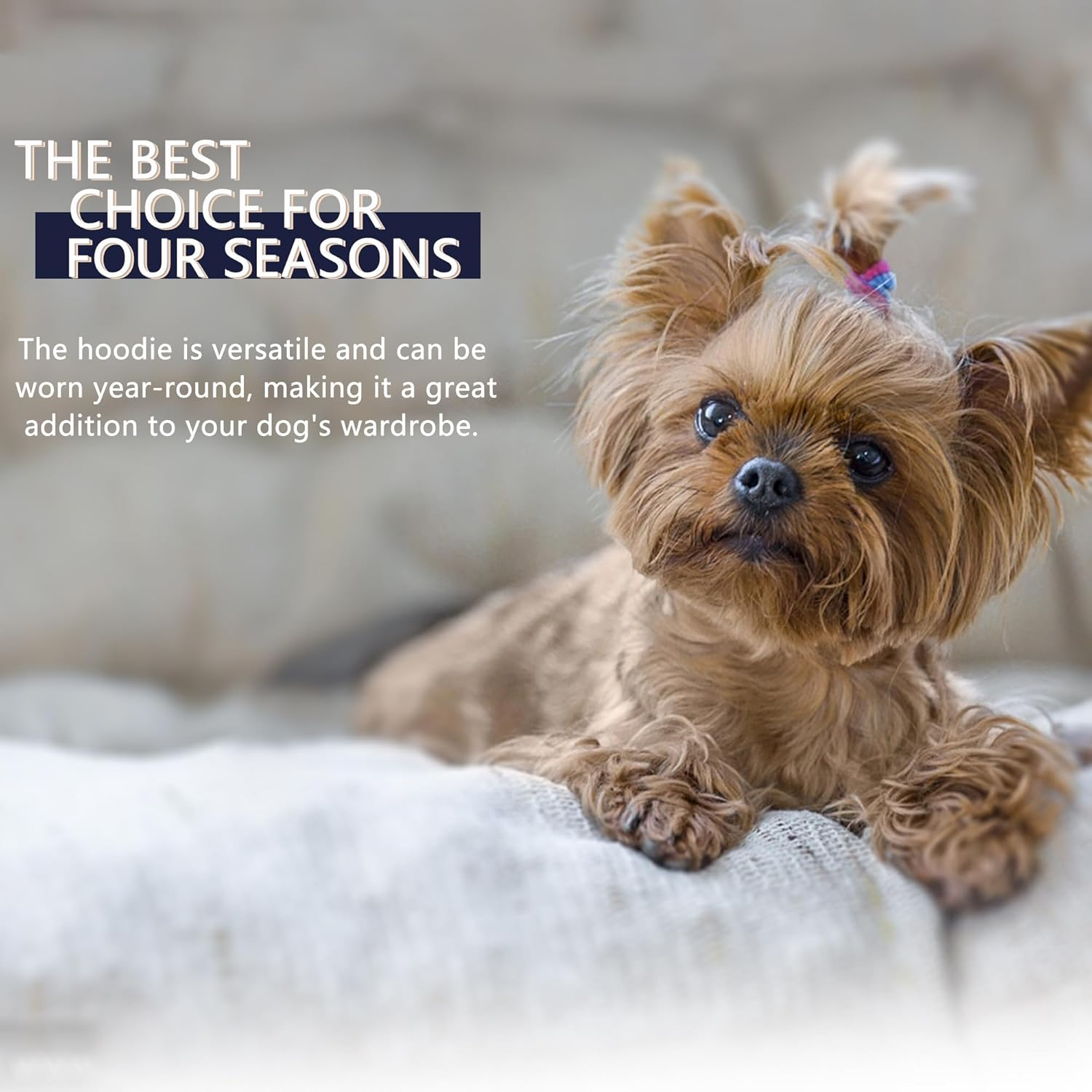 Paiaite Black Chihuahua Dog Hoodie: Keep Your Pup Warm and Stylish with a 'The Dog Face' Printed Sweatshirt, Pet Clothes and Sweater Coat All in One Perfect for Winter and Cool Summer Nights! Black S image number 3