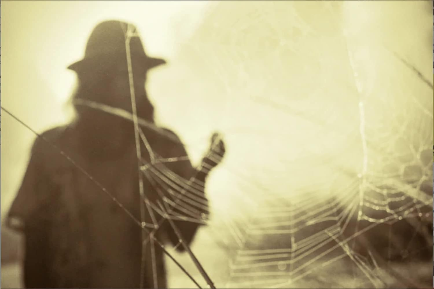 The Cove Felt Hat, Chocolate, Small/Medium image number 4