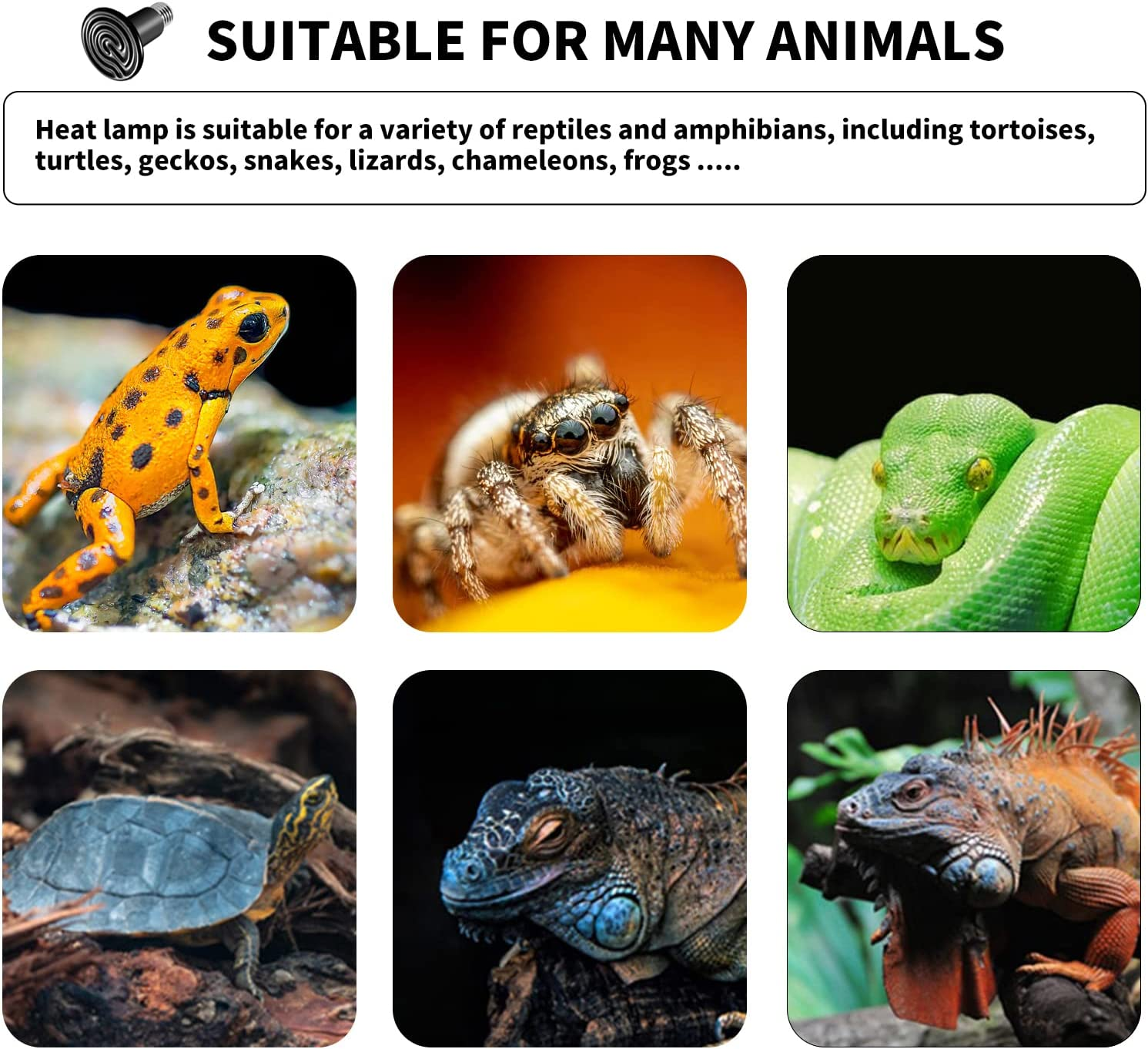 Bonlux Ceramic Heat Bulb, 100W Terrarium Reptile Heat Lamp E27 Black Infrared Ceramic Pet Heat Emitter for Lizards Tortoise Snakes Chicken Aquarium Amphibian (2-Pack) image number 1