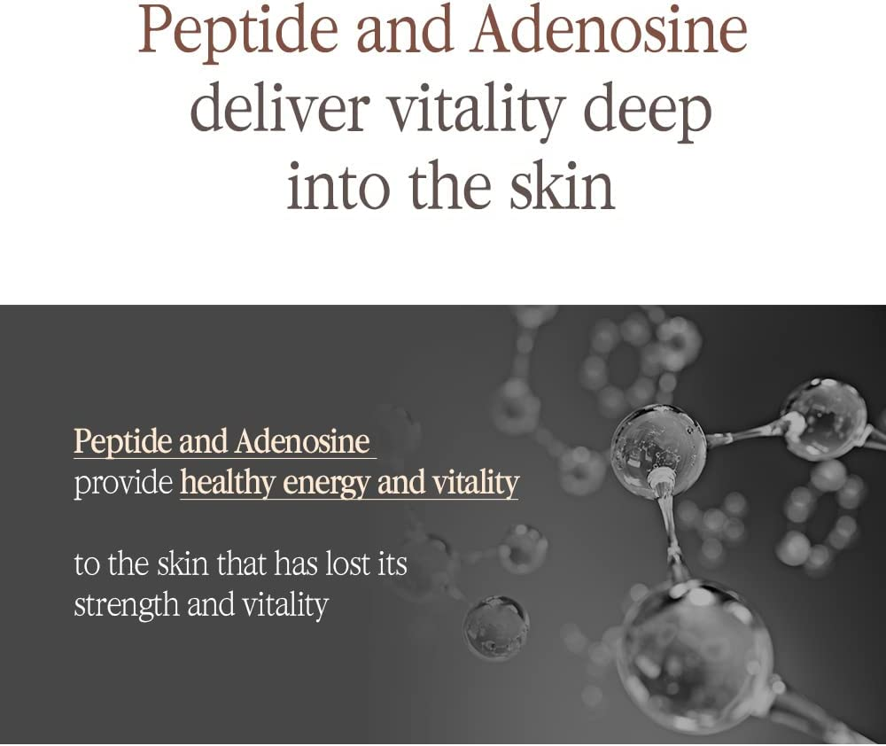 Pyunkang Yul [PKY] Black Tea Boosting Serum for Anti-Aging, Condensed Nutrition for Fine Line Care with Kombucha, Ginseng Fruit Extract, Zero-Irritation, Korean Skincare (1.52 Fl. Oz, 45Ml) image number 5