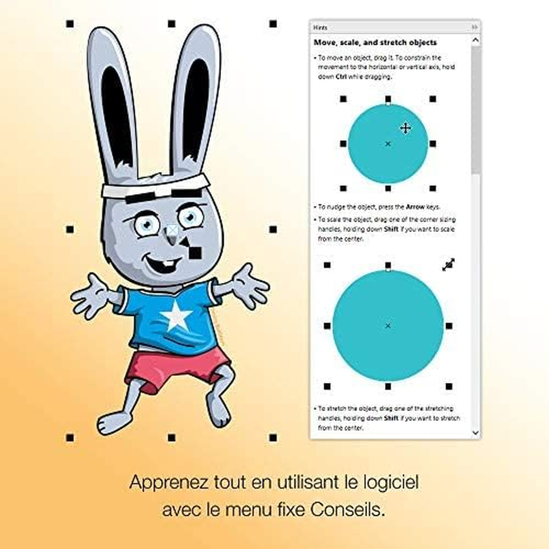 Coreldraw Essentials 2021 | Graphics Design Software for Occasional Users | Illustration, Layout, and Photo Editing [PC Disc]|Essentials 2021|1 Device|Perpetual|Pc|Disc image number 5