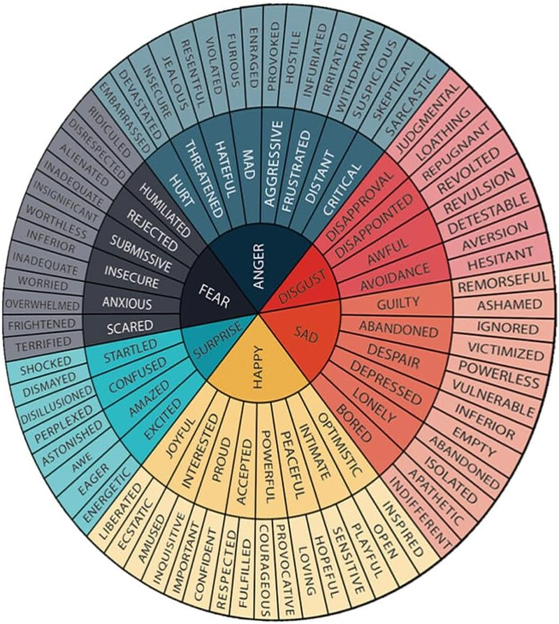 GLEAVI Emotional Wheel Sticker 7-Inch Self-Adhesive Feeling Wheel Decal for Classroom and Laptop Enhancing Emotional Awareness and Expression for Kids image number 3