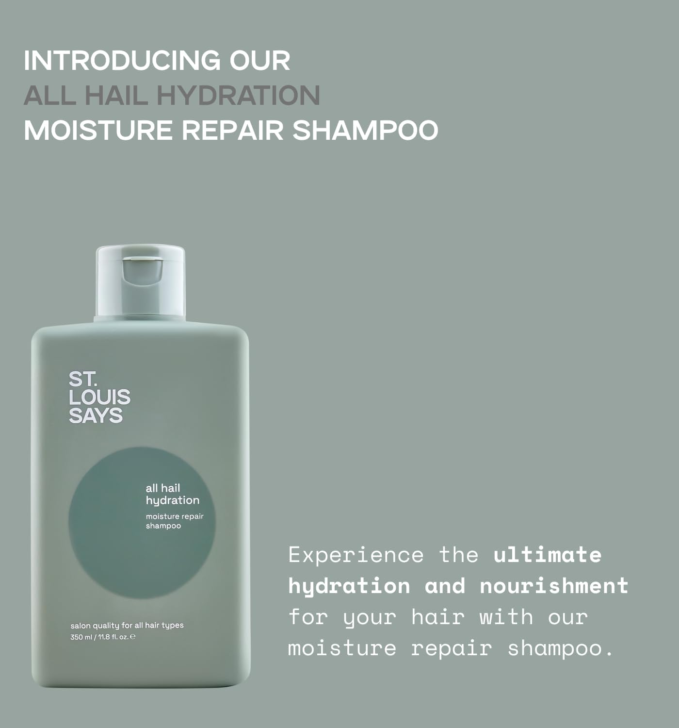 All Hail Hydration Shampoo &ndash; Moisturising & Nourishing Shampoo for Dry, Frizzy, Damaged Hair &ndash; Smooths, Hydrates & Strengthens &ndash; for All Hair Types image number 3