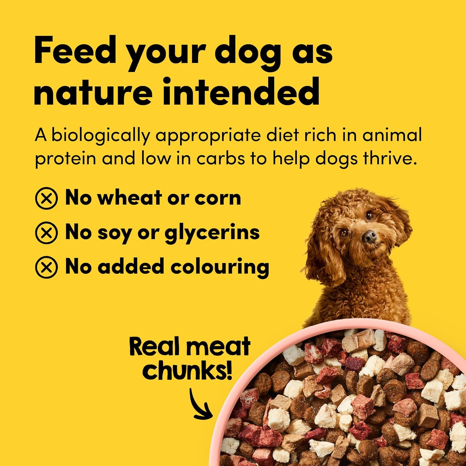 Rawmix50 Premium Freeze-Dried Raw Ocean Fish Recipe Dog Food, Protein Rich, Includes Kibble, Non-Gmo, No Wheat or Corn, 340G image number 6