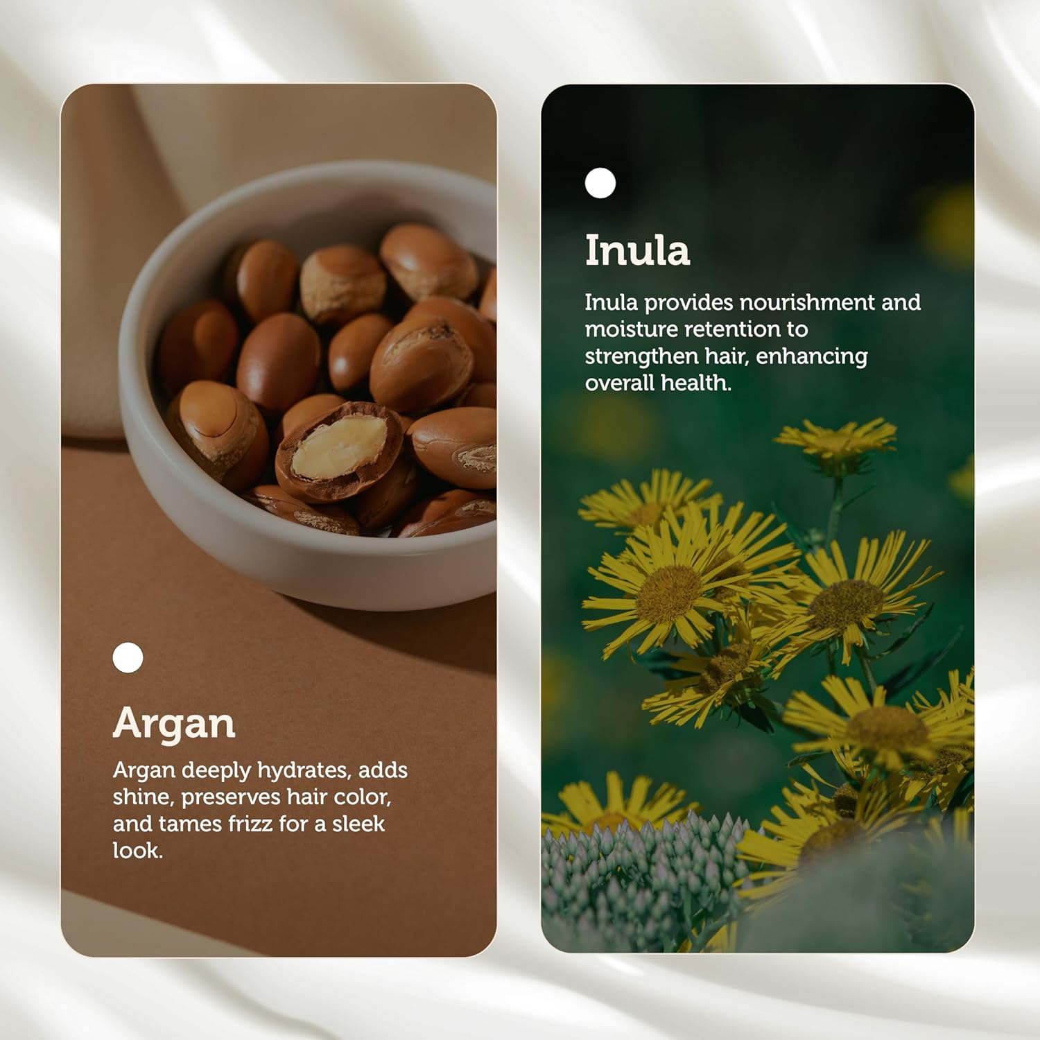 E.Fek.Tiv Beauty Inula plus Argan Max Shine Color Preserving Shampoo - Shampoo for Color-Treated Hair - Protect Enhace Hair Color - Color Safe - Sulfate-Free - Vegan - Clean Formula - Unisex - 8 Oz image number 4