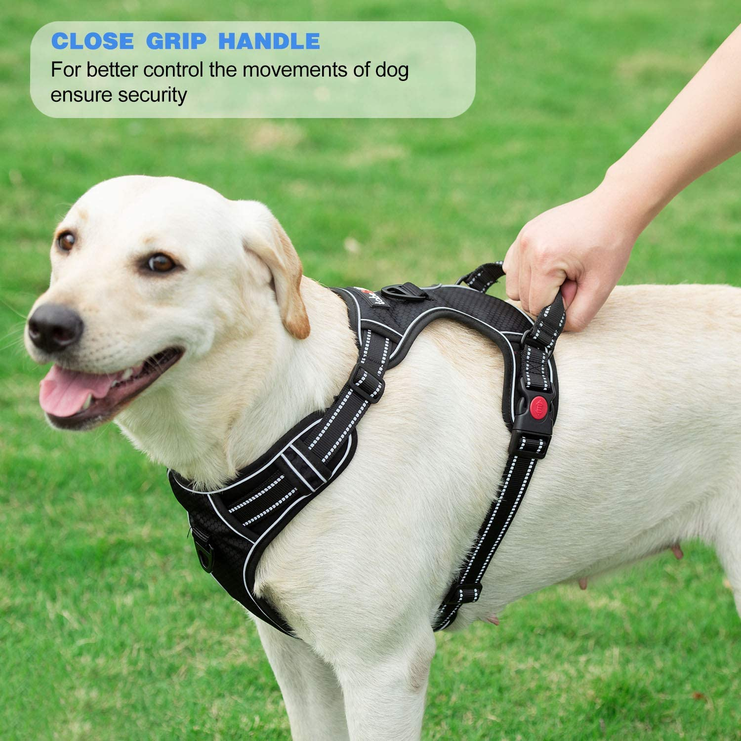 No Pull Dog Harness Adjustable Reflective Oxford Easy Control Medium Large Dog Harness with a Free Heavy Duty 5Ft Dog Leash (L (Neck: 18"-25.5", Chest: 24.5"-33"), Blue Harness+Leash) image number 1