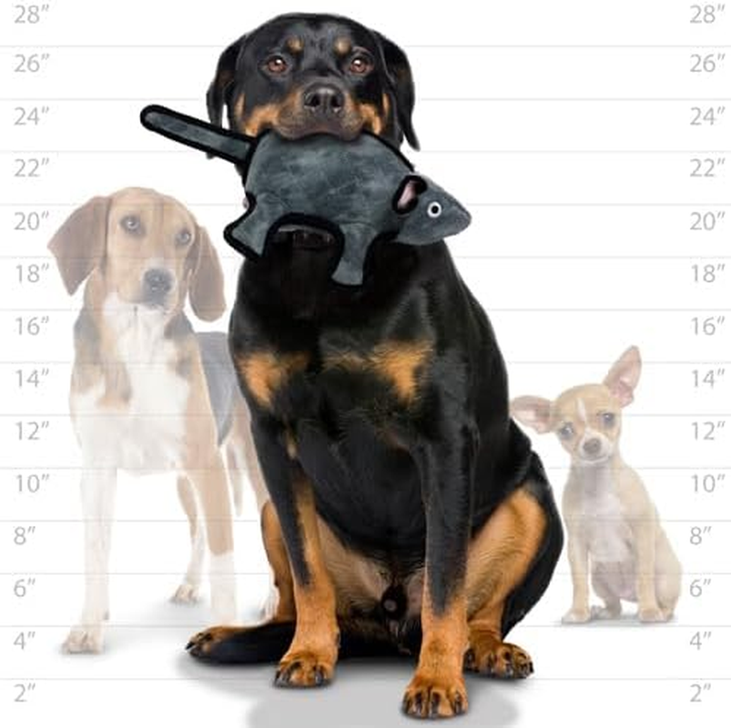 Tuffy Plush Dog Toy, Grey