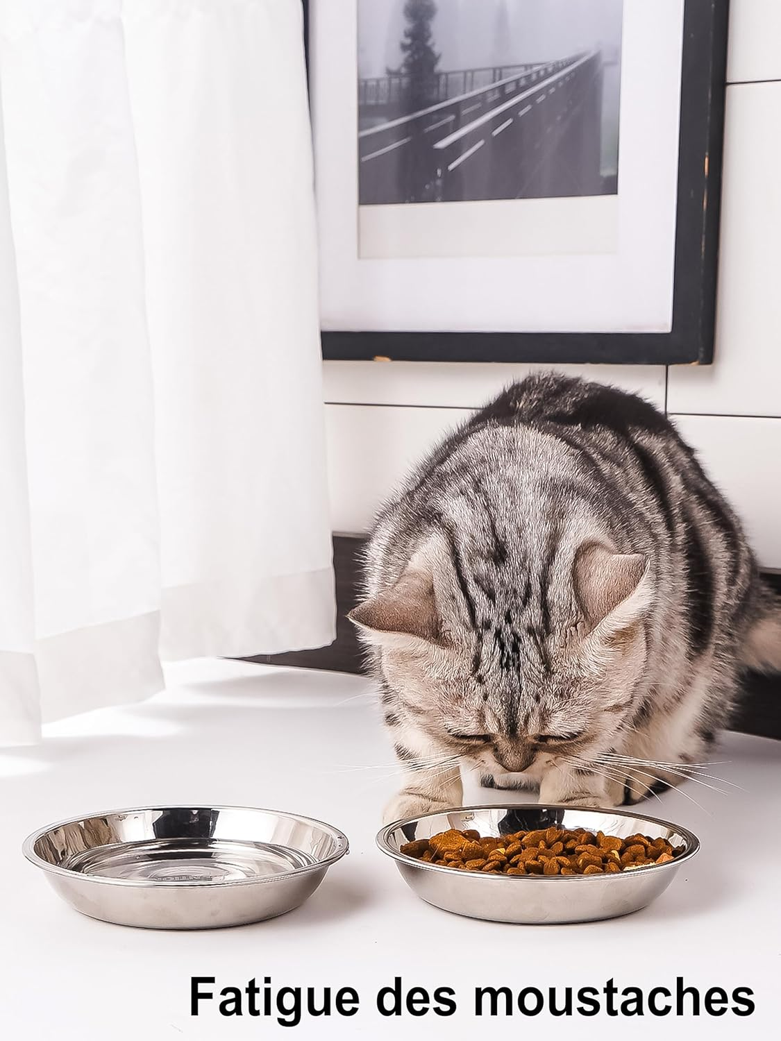 VENTION Stainless Steel Cat Bowl, Whisker Fatigue Cat Bowls, Shallow Cat Food Bowl, Metal Cat Food Bowls