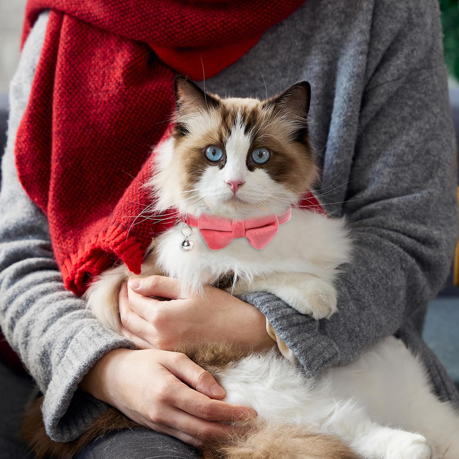 Pack of 2 Cat Collars Breakaway Safety Bow Tie Cat Collar with Bell Adjustable Velvet Kitten Collars Small Puppy Bow Tie Collar for Wedding Birthday Party image number 1