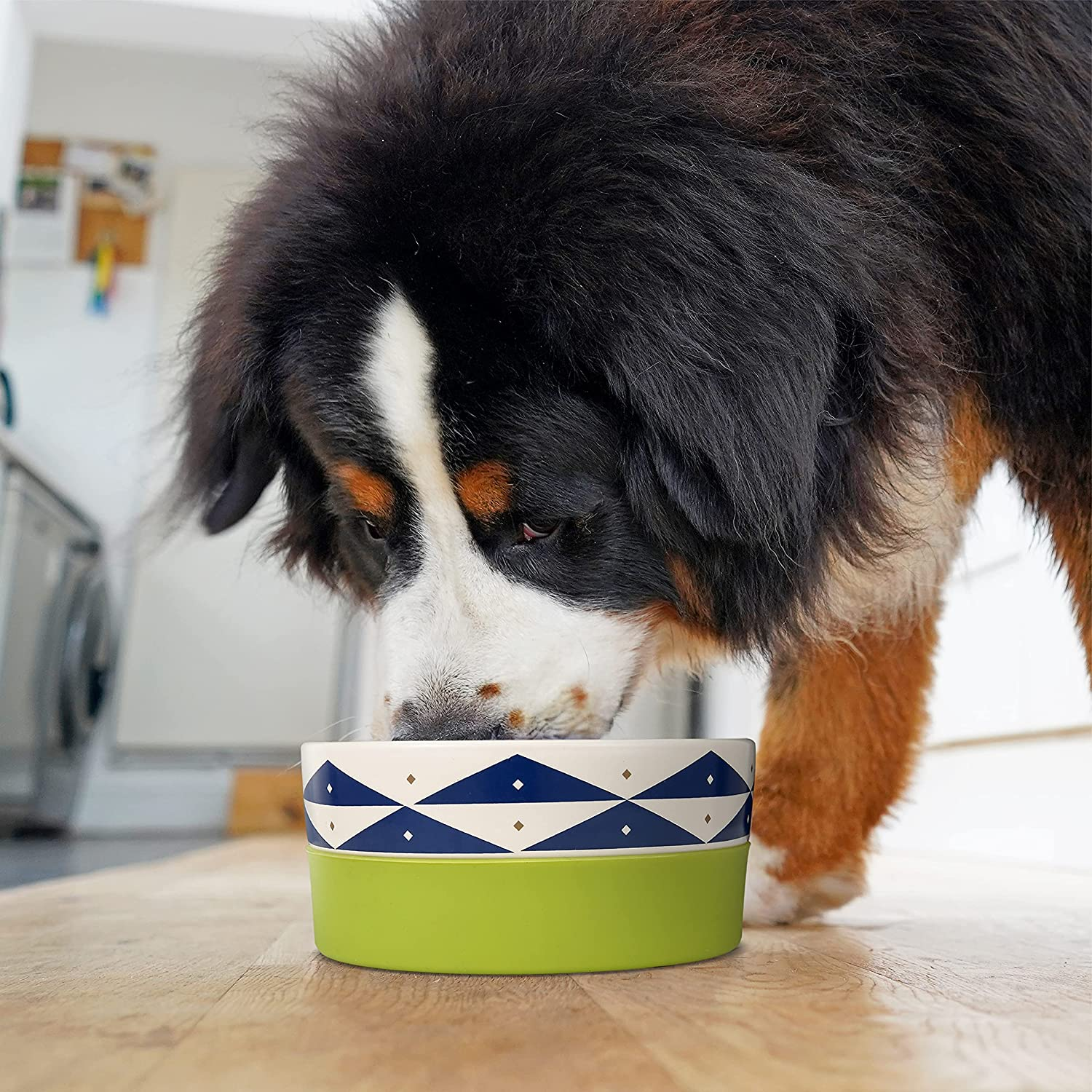 Now House for Pets by Jonathan Adler Oslo Duo Dog Bowl, Medium | Cute Ceramic Dog Food Bowl from Now House by Jonathan Adler for Water or Food, 6 Inch Dog Bowl image number 6