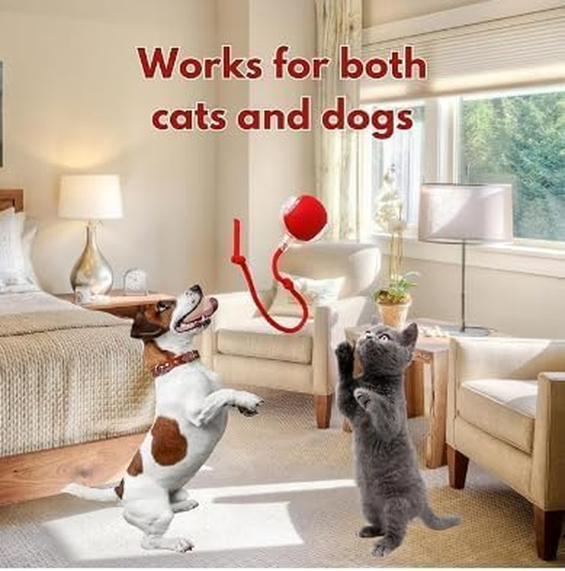 2Pack Cat Ball Kitten Toys for Indoor Interactive Kitty Ball Toy Speedy Tail Rolling(Red Green) and Dog & Cat Nail Clippers with 2Mm & 4Mm Cutting Holes image number 1