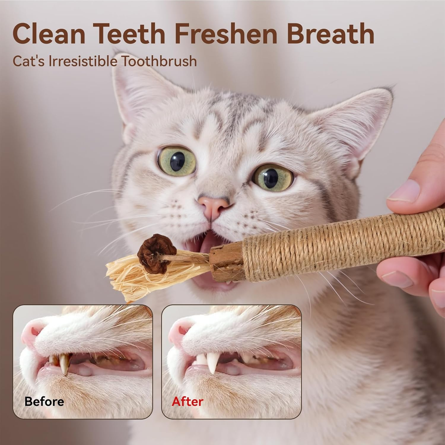 LOVELEDI Natural Silvervine Sticks Cat Toys - 6 Pack Cat Chew Stick Toy for Cats Dental Treats, Kittens Chew Toys Teeth Cleaning for Indoor Cats Interactive, Dental Care Cat Edible Kitty Lick Toys image number 4