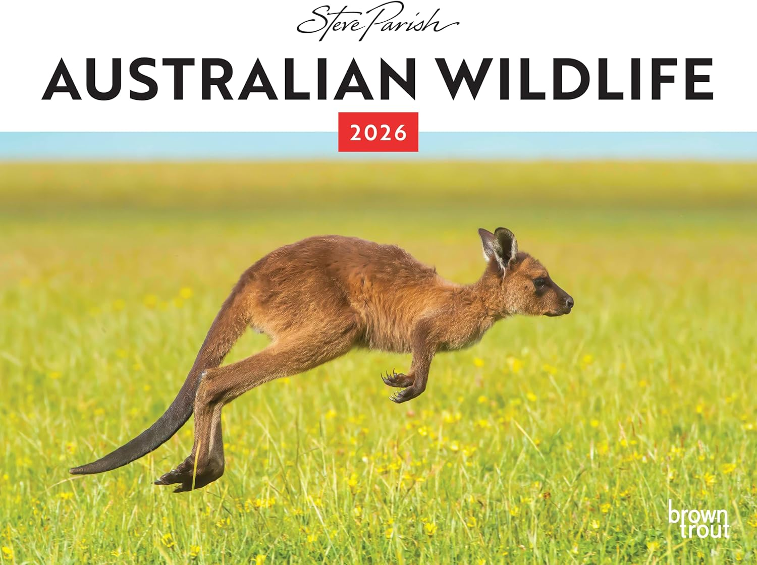 Australian Wildlife - Steve Parish 2026 Landscape Wall Calendar