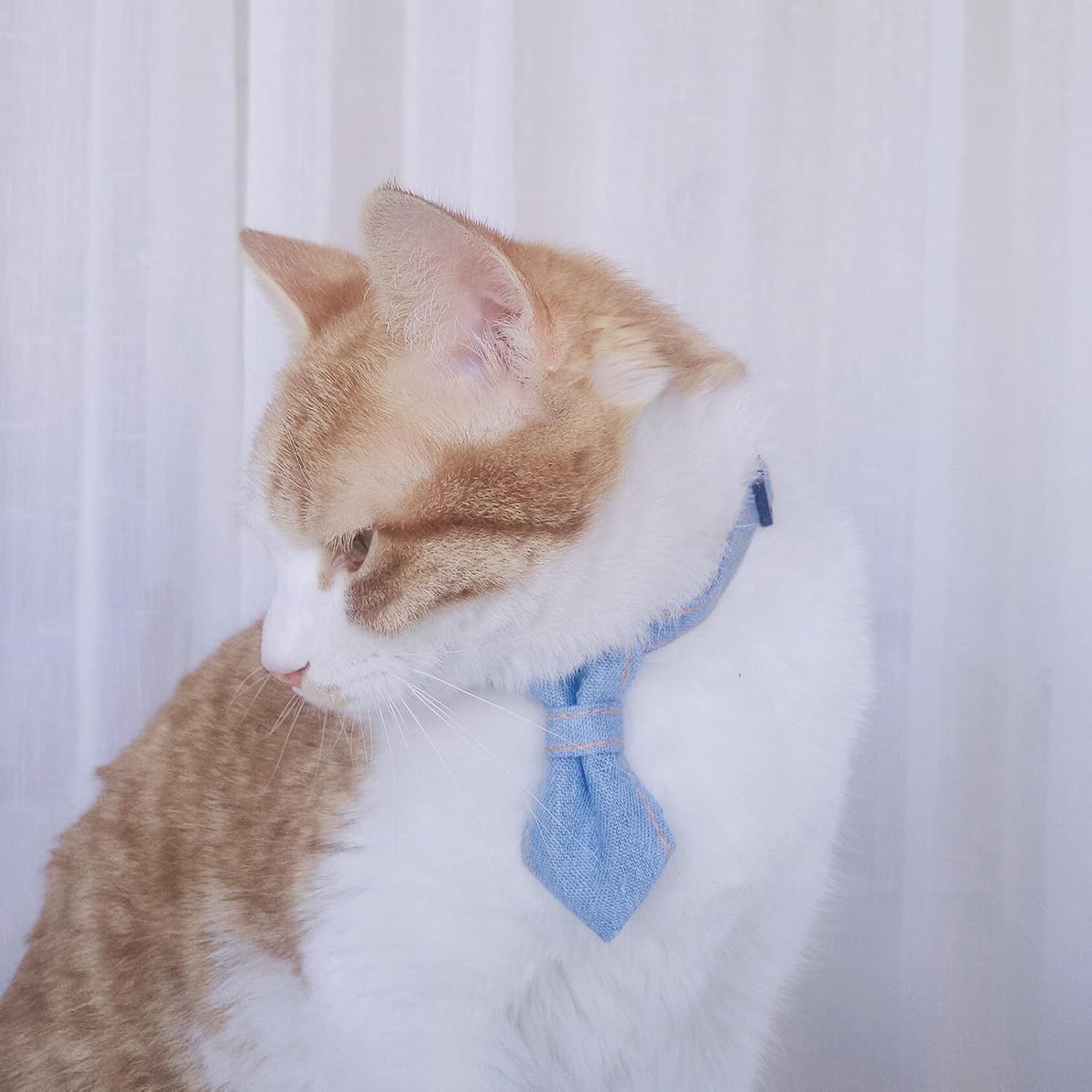 Lopsity Dog Collar Bow Tie Cat Dog Neck Ring Strap Adjustable Buckle Closure for Kitten Puppy and Small Pets (Blue) image number 2