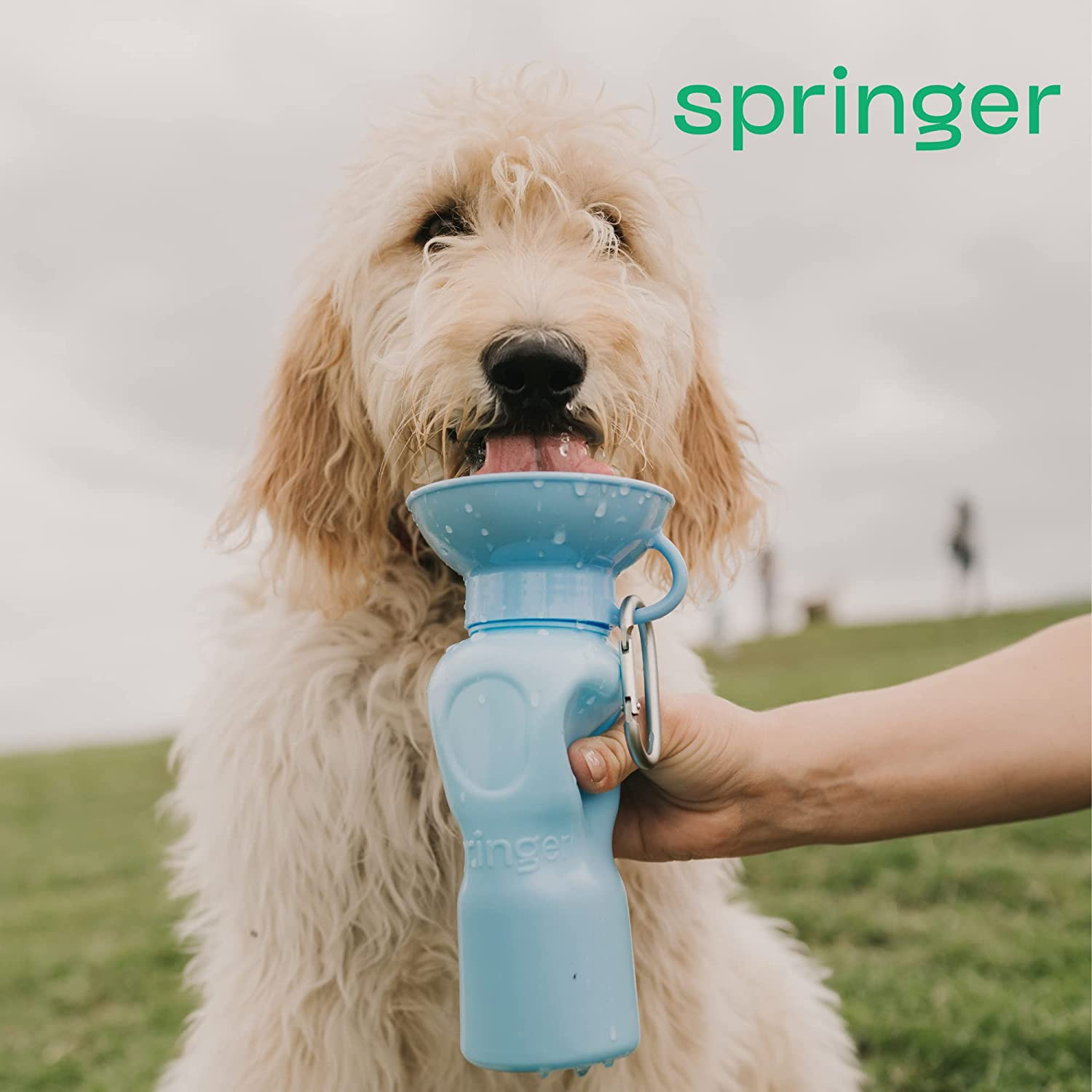 Springer Pets Classic Travel Bottle (22 Ounces, Sky Blue) image number 4