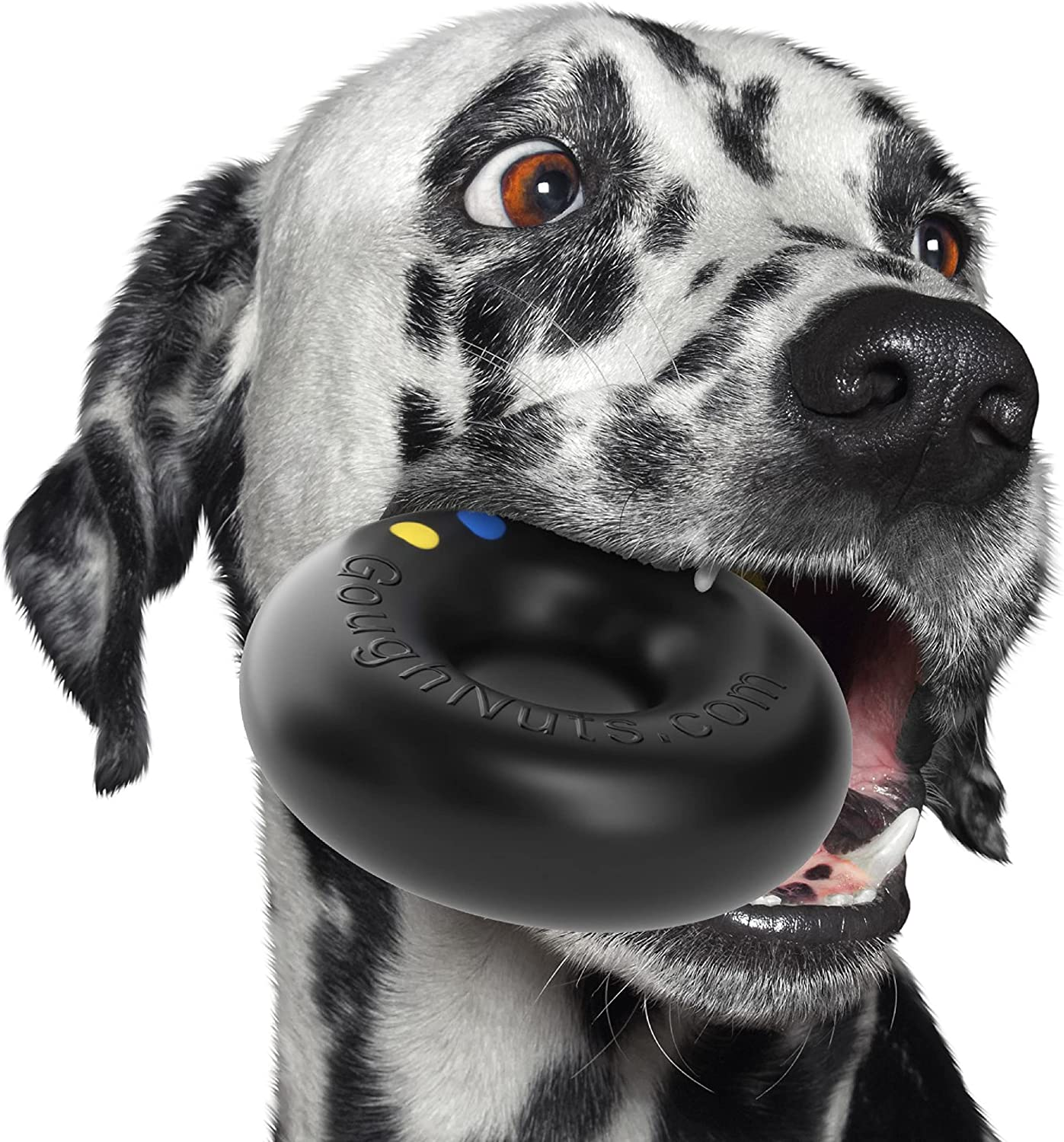 Goughnuts - Rubber Dog Chew Toy, Med .75 - Black Pro 50 Ring image number 3