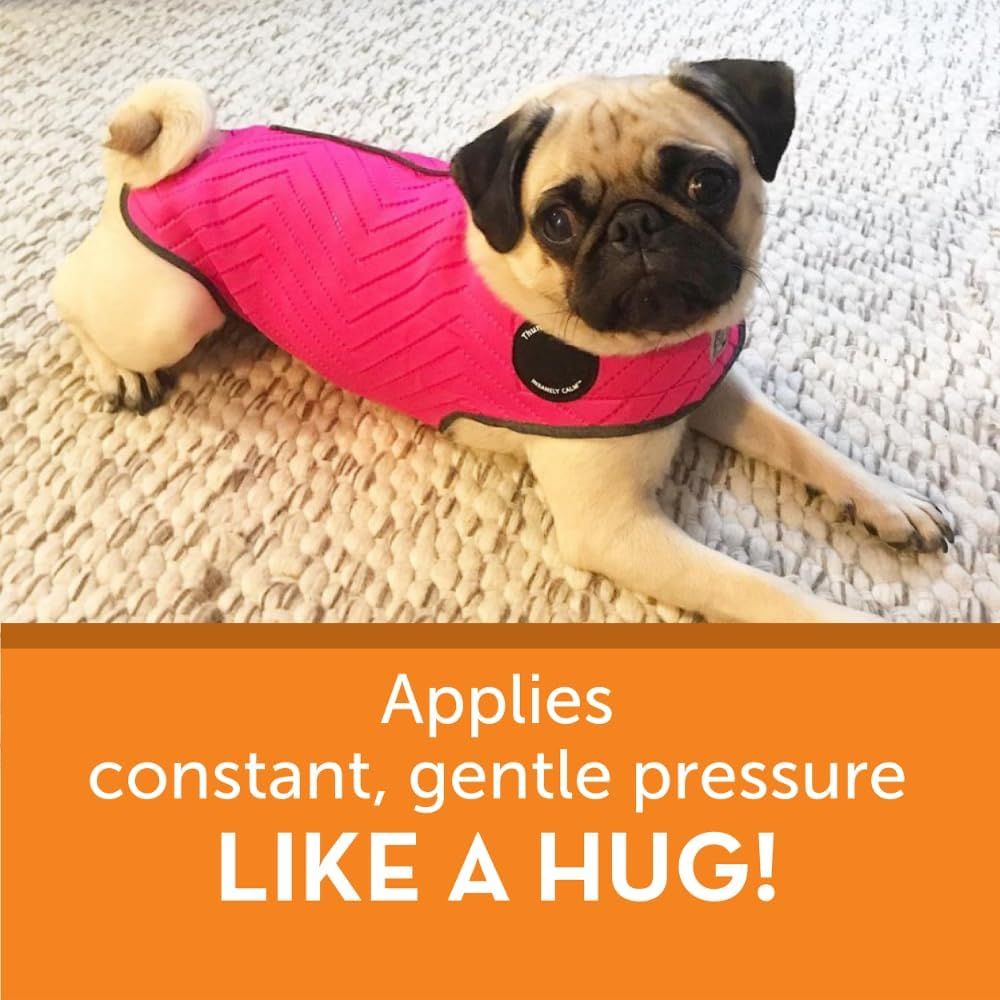 Thundershirt Dogs Clothing Thundershirt Dog Anxiety Jacket, Fuchsia, X-Small image number 3