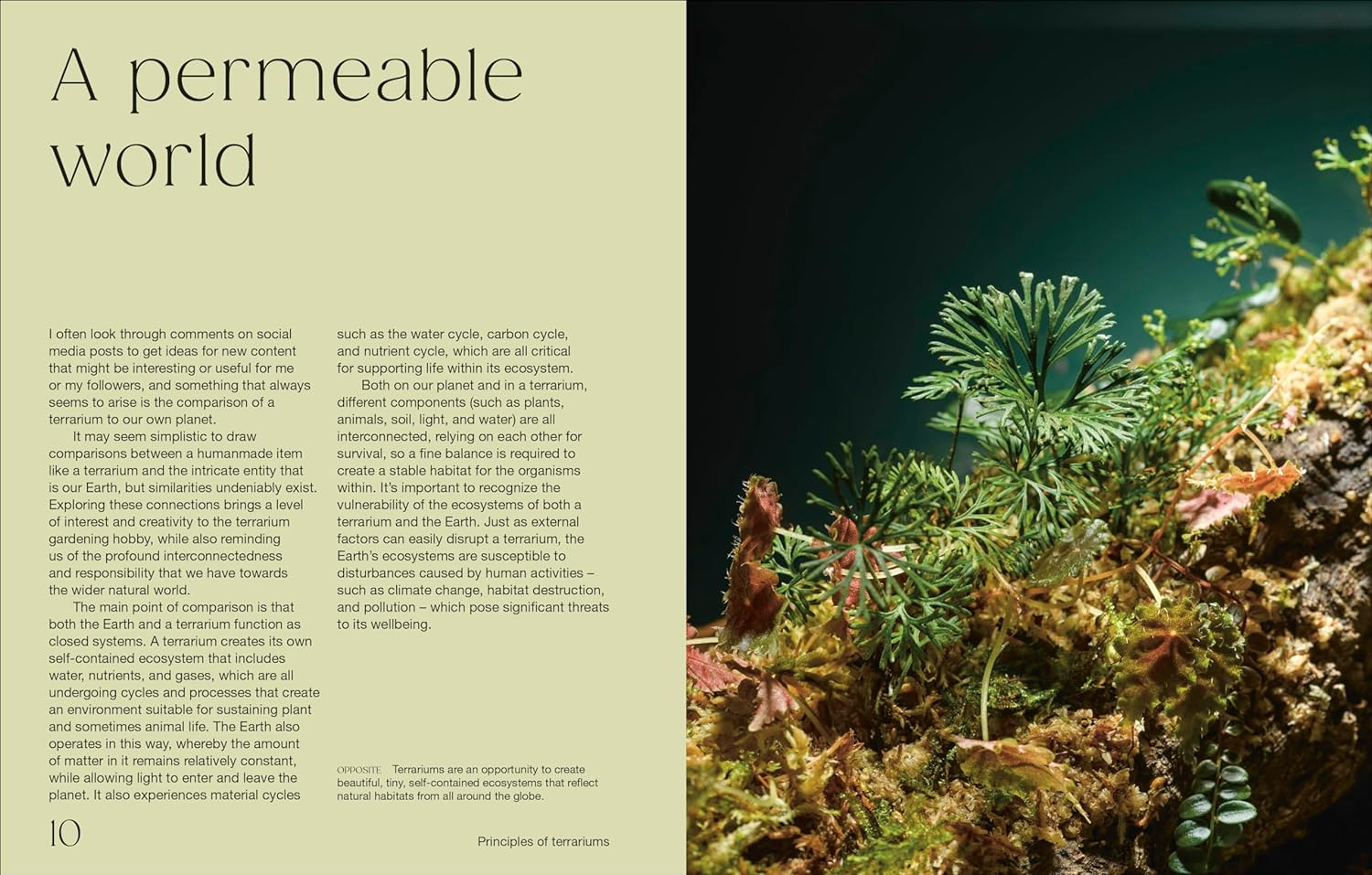 Hello Tiny World: an Enchanting Journey into the World of Creating Terrariums