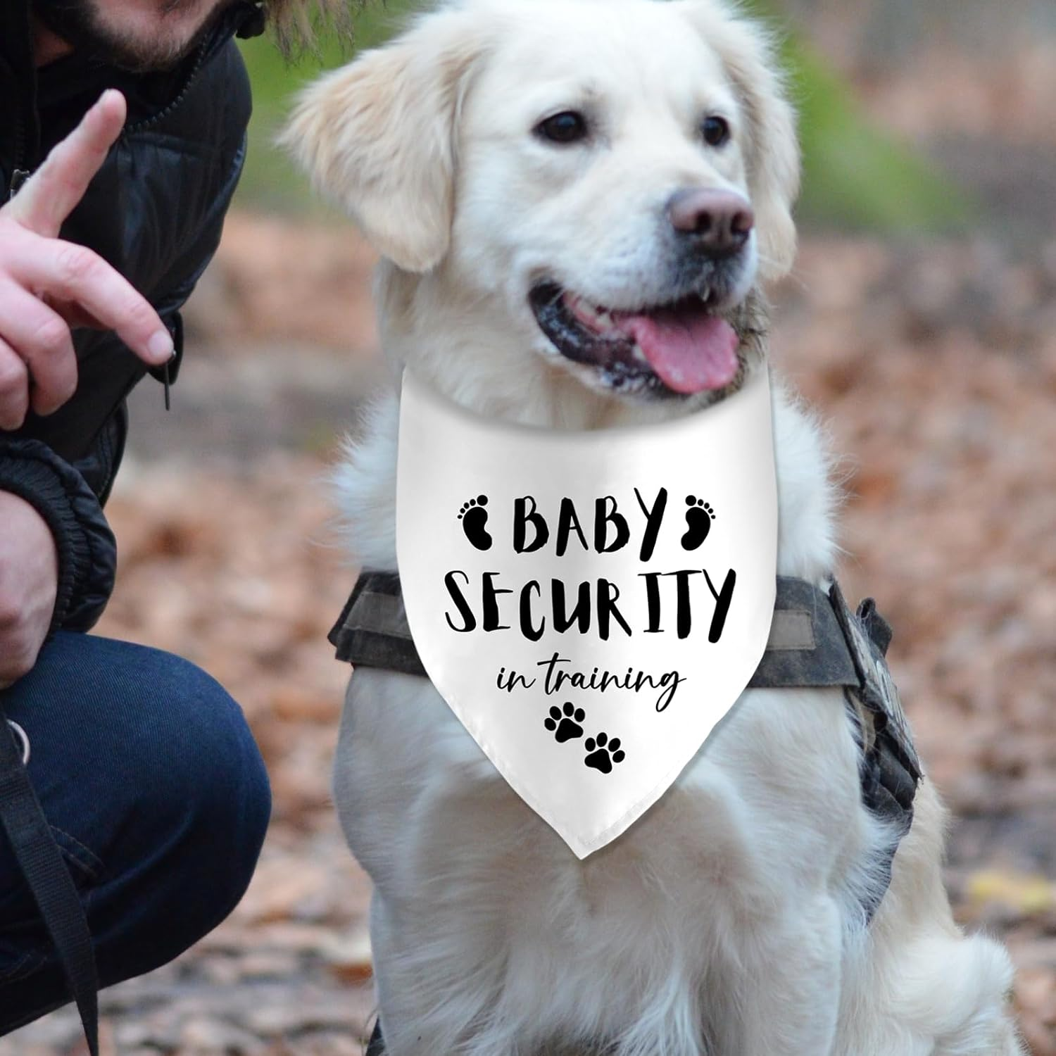Baby Security in Training Printed Dog Bandana Pet Scarf Dog Pregnancy Announcement Bandana Pregnancy Dog Bandana for Dogs Pet Accessories for Dog Lovers Pregnancy Reveal Ideas image number 2