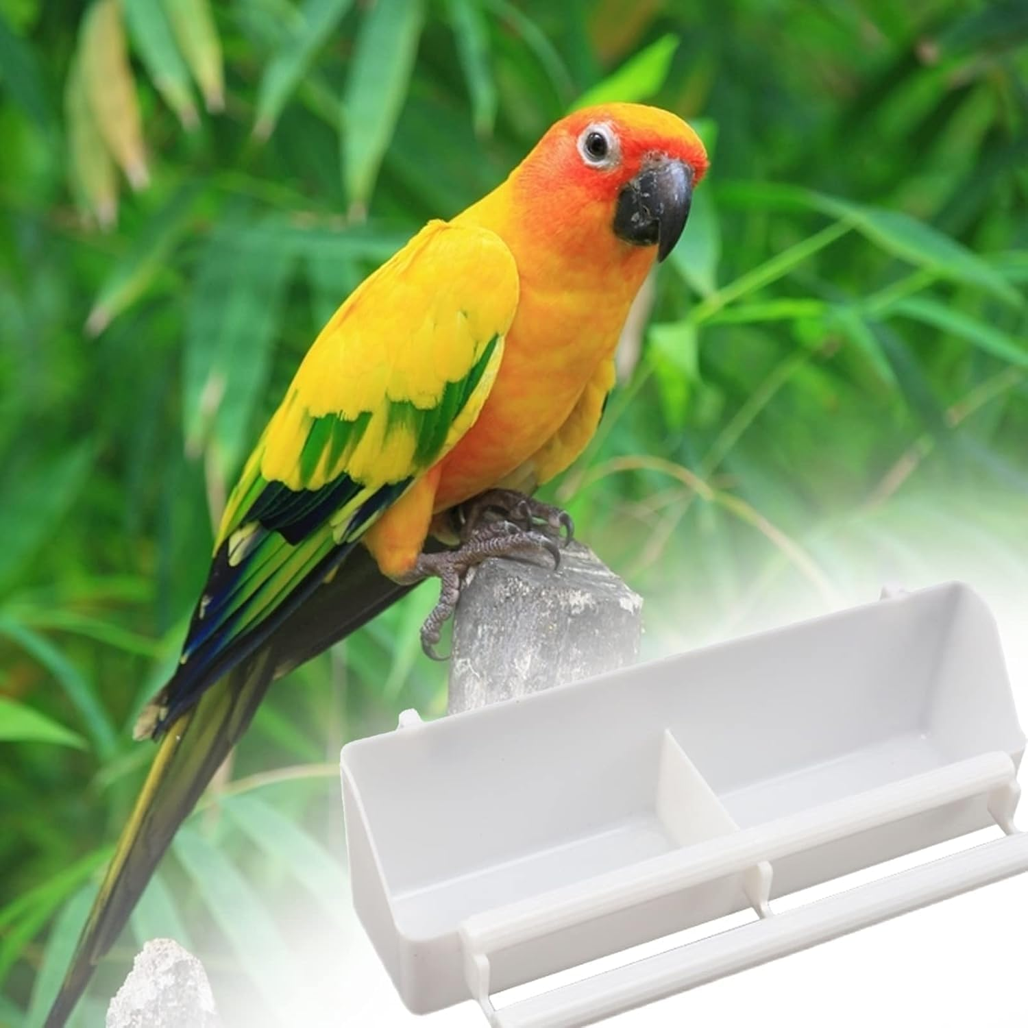 Set of 4 Plastic Bird Feeder Bowls White Parrot Feeder Bowls Food Water Bowls Hanging Bird Cage for Parrot Pigeon image number 3