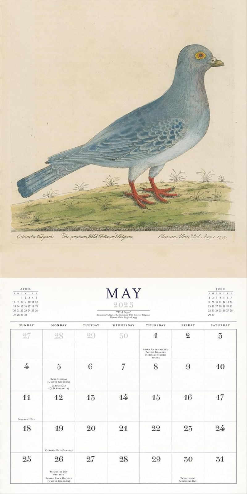 The World of John Derian Wall Calendar 2025 image number 3