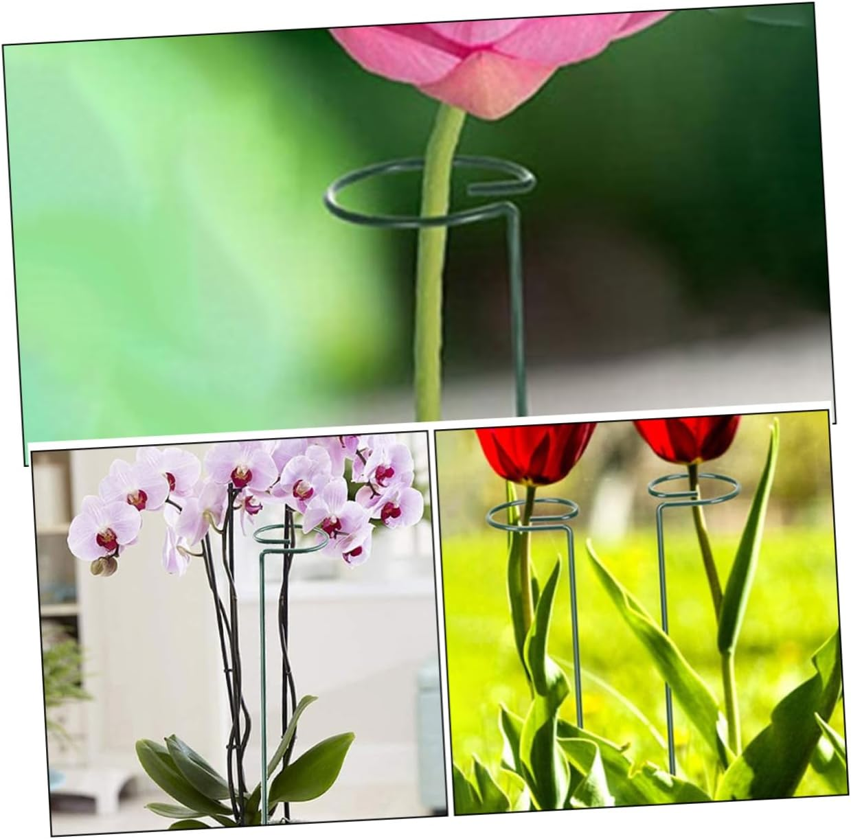 PHENOFICE 12Pcs Indoor Plant Stakes for Potted Plants Support Stakes Trellis Indoor Climbing Trellis Netting Garden Supply Accessories image number 2