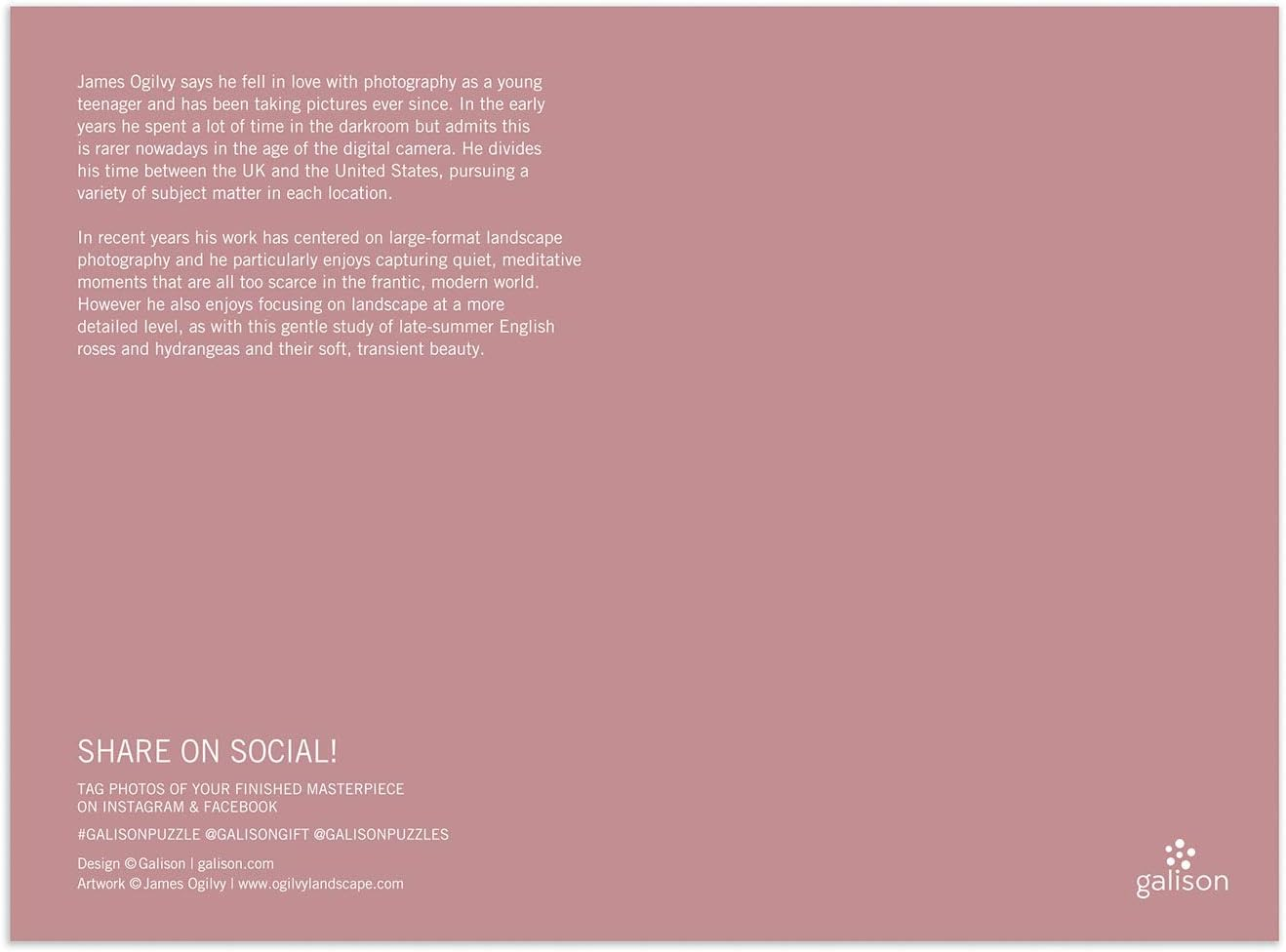 English Roses 1000 Piece Puzzle