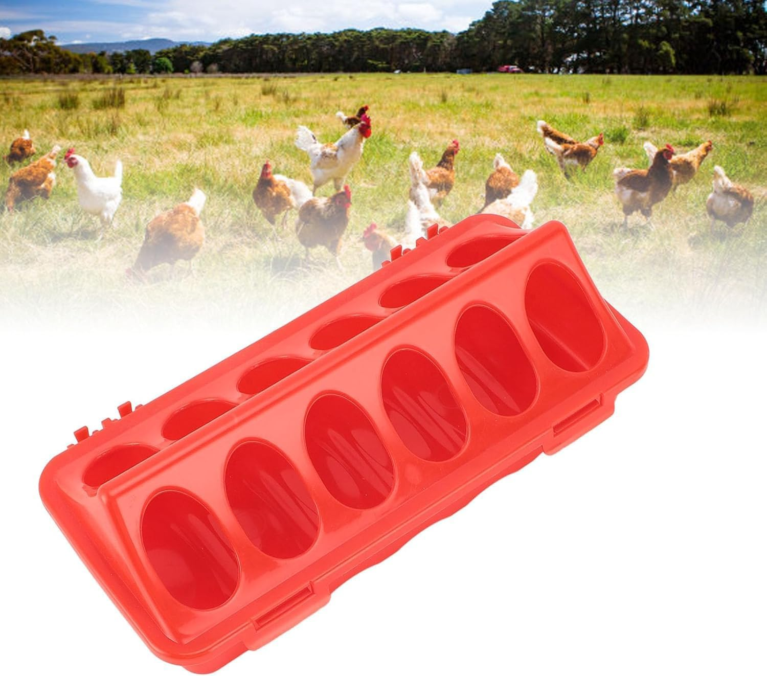 2 Pieces Bird Feed Dish for Pigeons, 6 Slot Feeder Pigeon Parrot Chicken, Chick Feeder and Waterer, Durable Water Trough for Efficient Animal Feeding and Easy image number 2