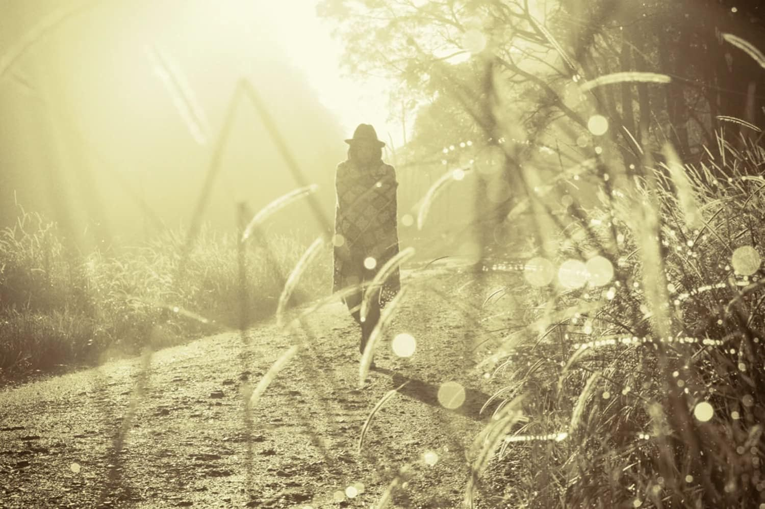 The Cove Felt Hat, Chocolate, Small/Medium image number 6