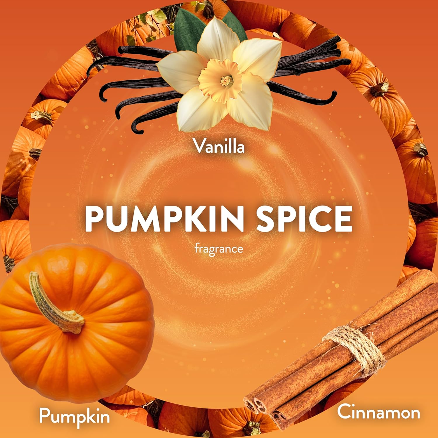 Air Wick Plug in Scented Oil 5 Refills, Pumpkin Spice, Fall Scent, Fall Spray, (5X0.67Oz), Essential Oils, Air Freshener, Packaging May Vary image number 6