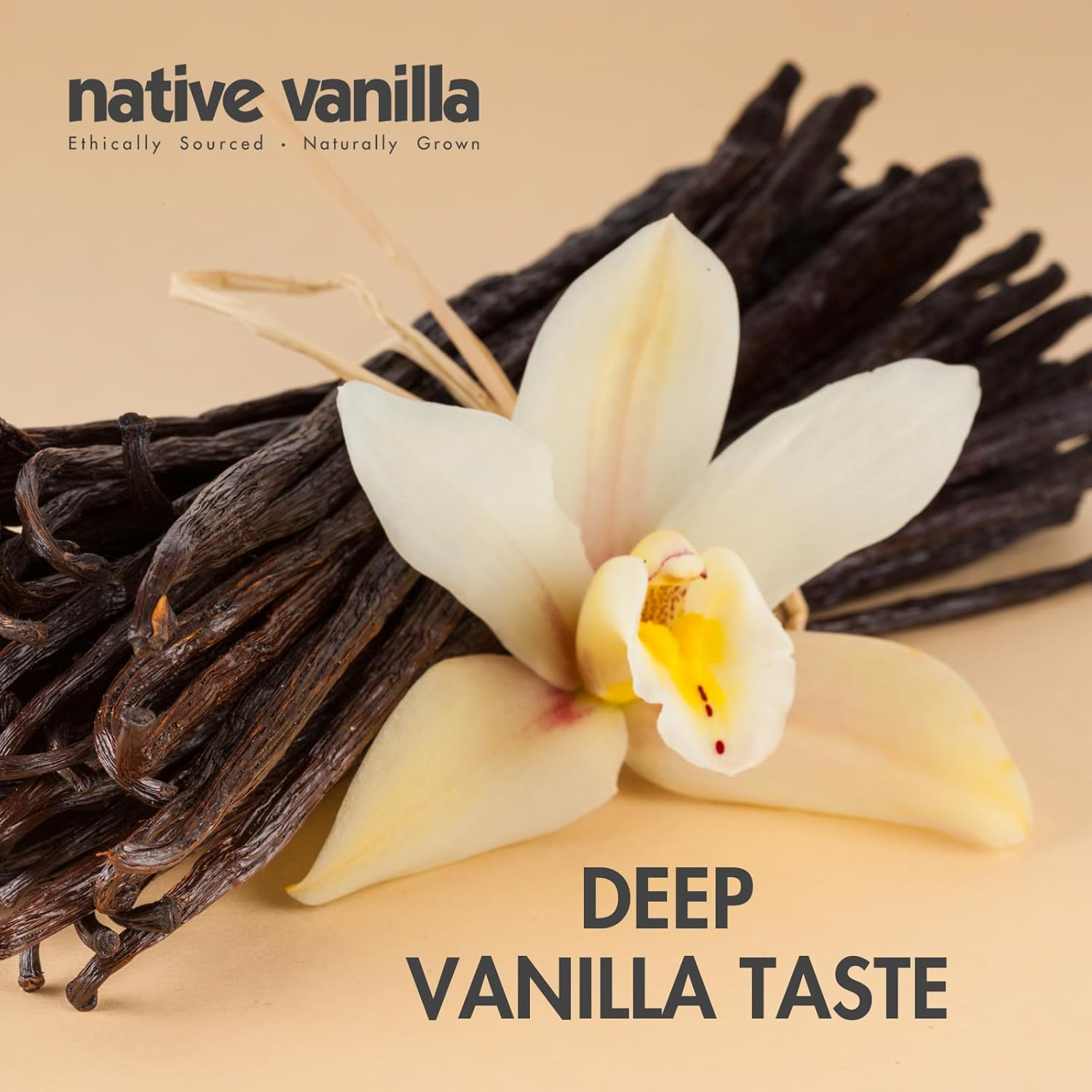 Native Vanilla - All Natural Pure Vanilla Bean Paste 118 Ml (4 Oz) - for Chefs and Home Cooking, Baking, and Dessert Making image number 1