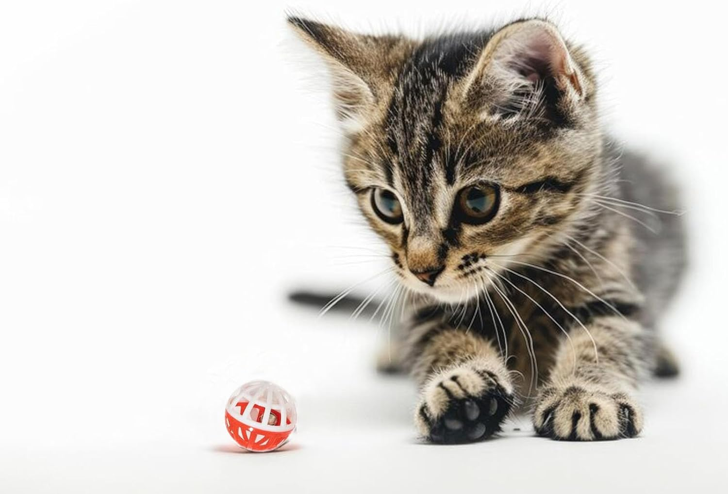 Cat Toys Set, 25 Pcs Kitten Toys for Indoor Cats, Interactive Feather Teaser, Fluffy Mouse, Crinkle Balls, Bells image number 5