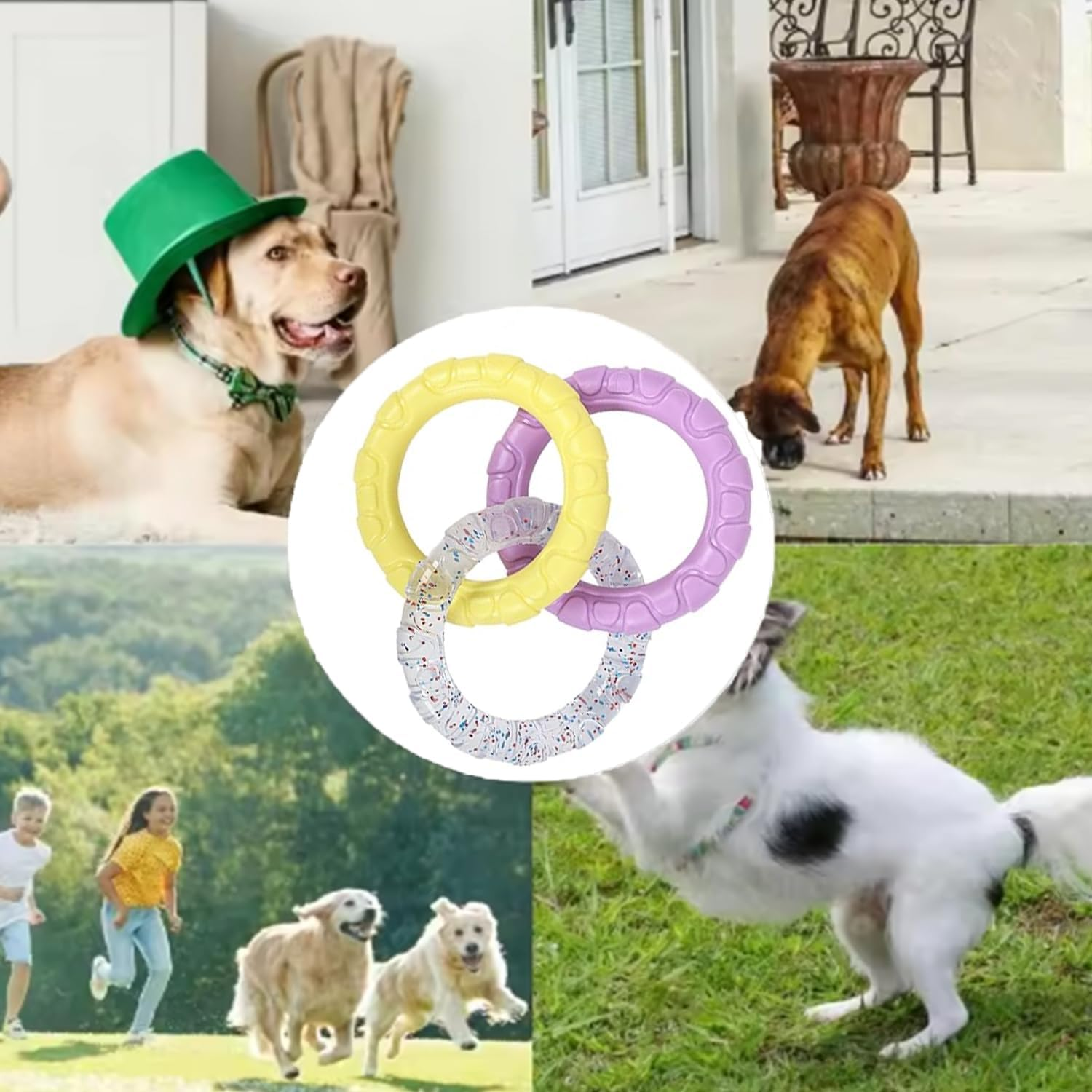 Roczential 3-Ring Dog Chew Toy, Indestructible Rubber Dog Toys, Puppy Teething Rings Toys for Small Medium Large Dogs (Yellow + Transparent + Purple) - Blue + Transparent + Purple image number 4