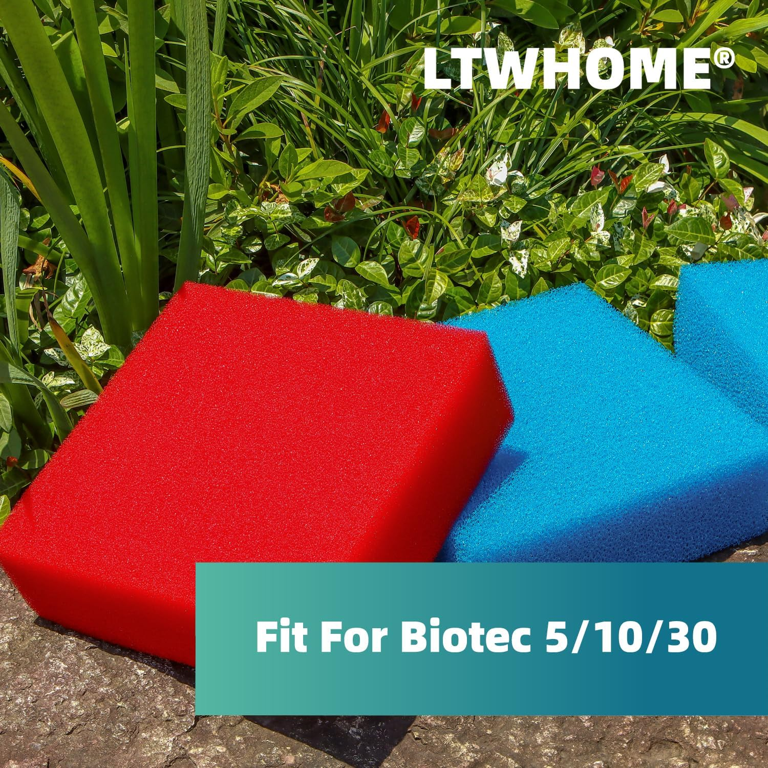 LTWHOME Compatible Replacement Coarse and Fine Foam Filter Sponge Fit for Oase Biotec 5/10/30 (3 X Blue Coarse and 3 X Red Fine Foams)
