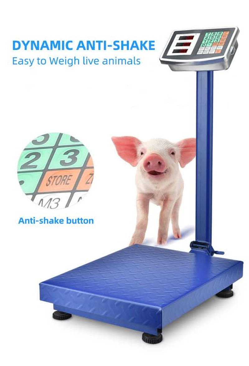 Digital Electronic Platform Scale, Portable Floor Scale 150Kg Capacity, Heavy Duty Weight Measuring with 220V Power for Industrial, Commercial & Home Use image number 5