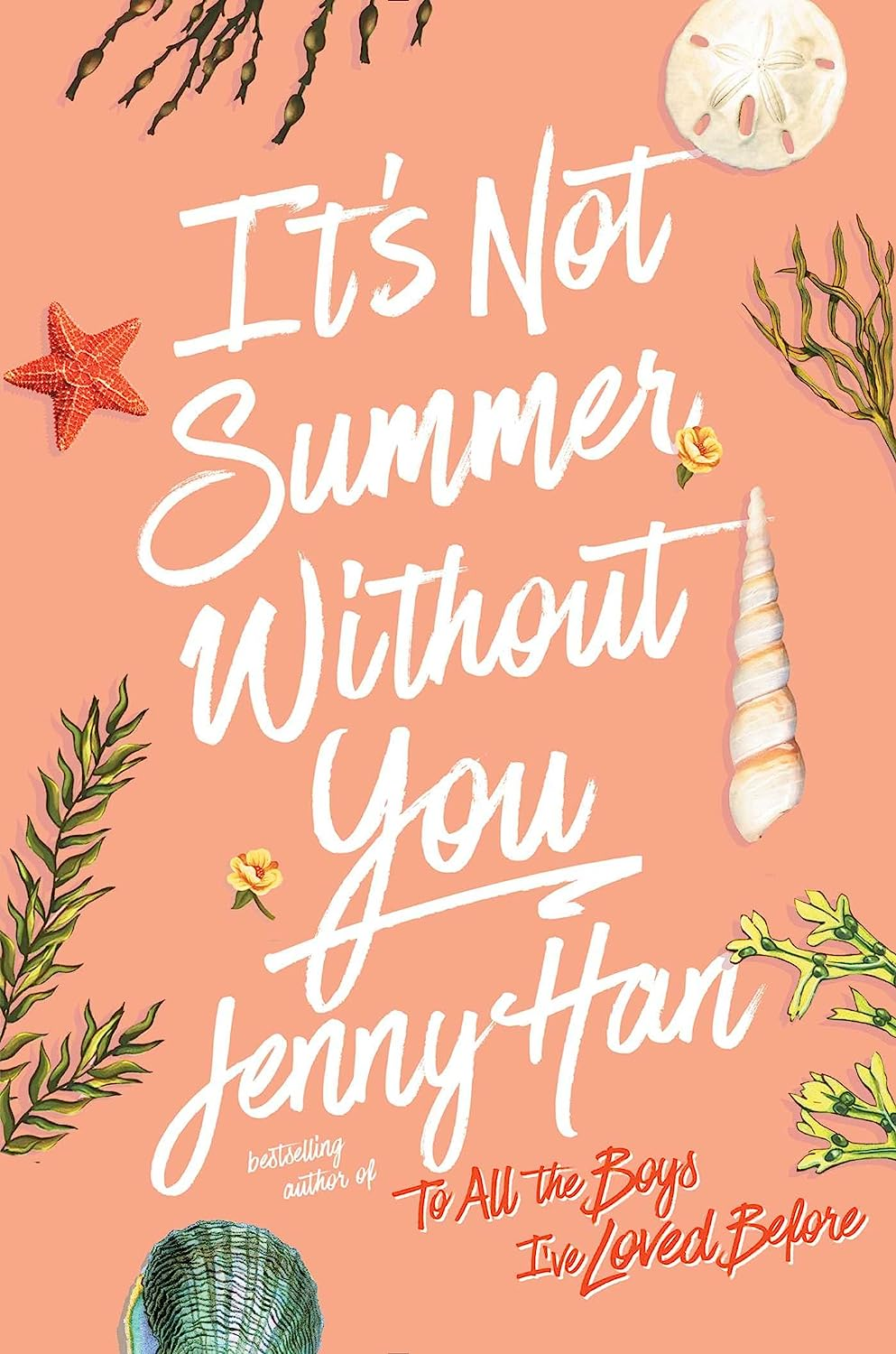 It'S Not Summer without You: Book 2 in the Summer I Turned Pretty Series