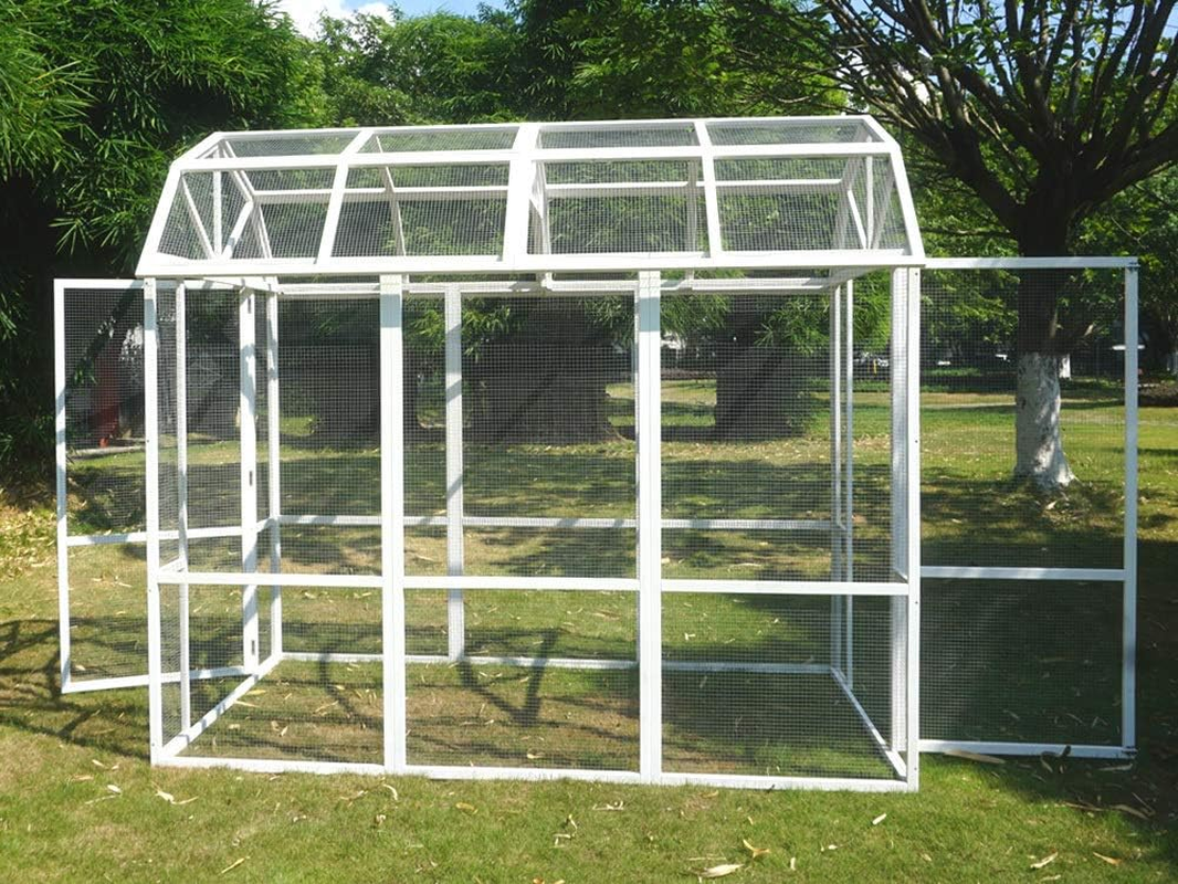 The Grand Barn Chicken Run image number 5