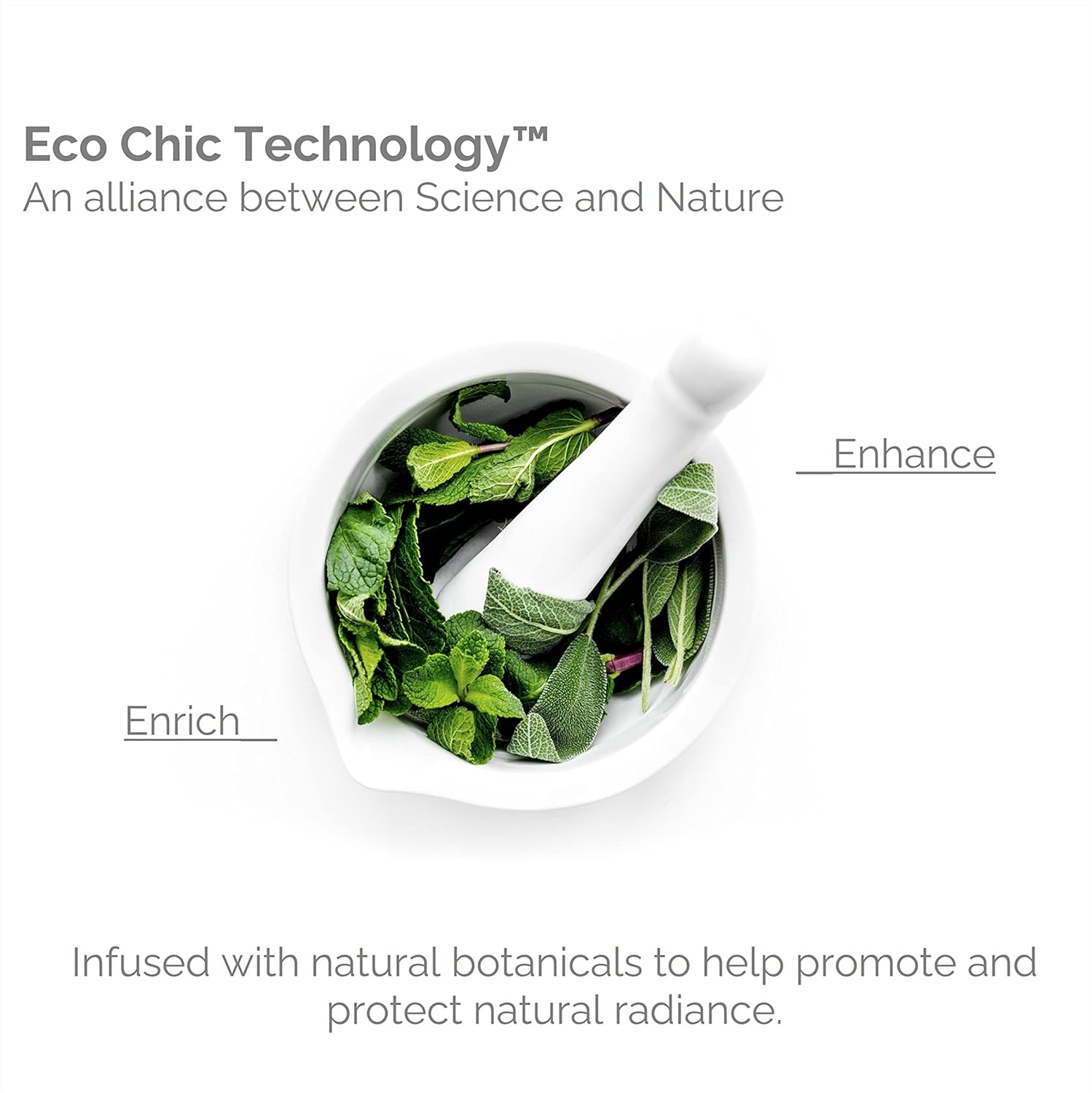 GIOVANNI Wellness System Shampoo (For All Hair Types), 250Ml image number 4