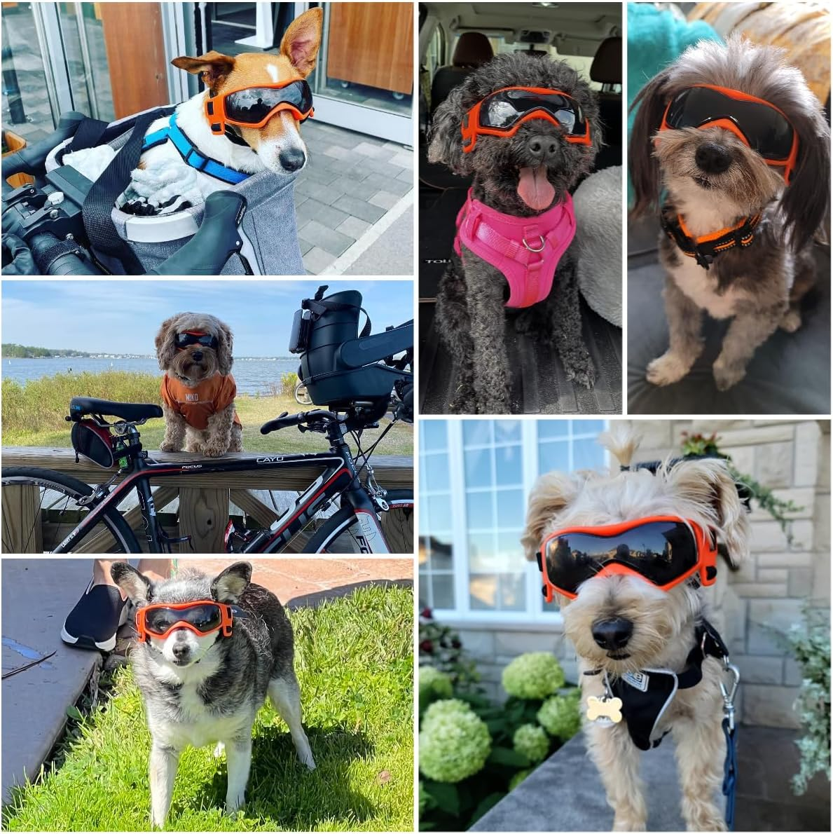 NAMSAN Dog Eye Protection Sunglasses Easy Fit Stylish for Small Medium Dogs Orange image number 1