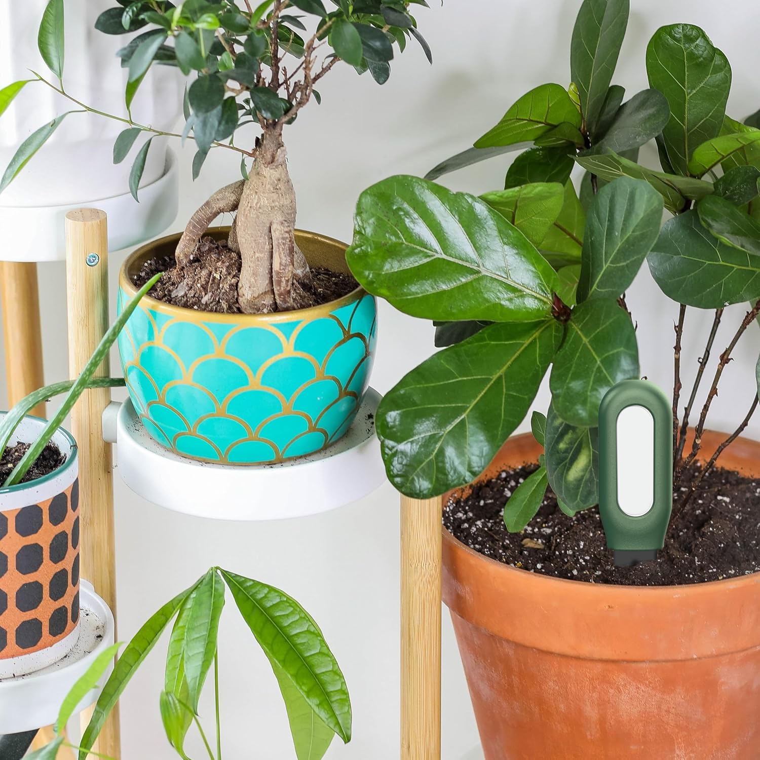 Smart Zigbee Soil Moisture & Temperature Sensor &ndash; Indoor Plant Monitor Compatible with Tuya Smartlife App &ndash; Requires Zigbee Hub &ndash; High Accuracy Soil & Ambient Monitoring for Smart Home Gardening image number 4