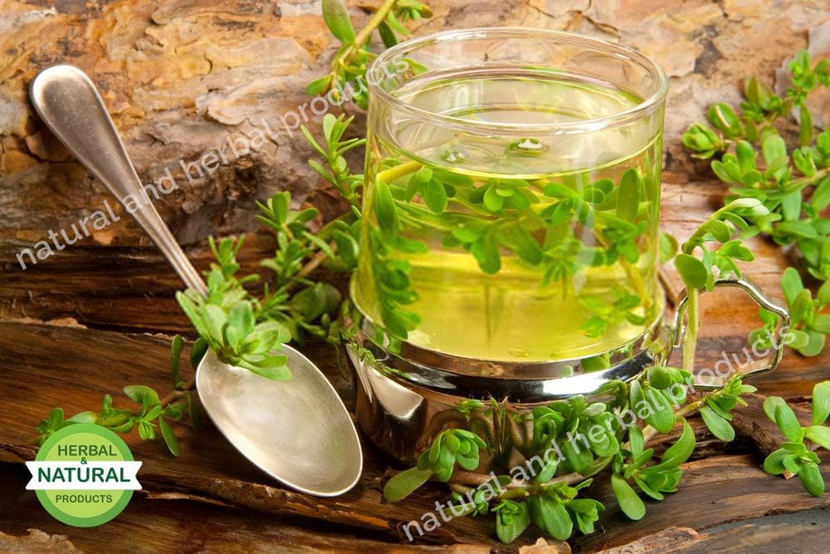 Brahmi Powder | Waterhyssop | Bacopa Monnieri | Thyme Leaved Gratiola for Hair Care(Growth, Fall, Color) - 100 Gram