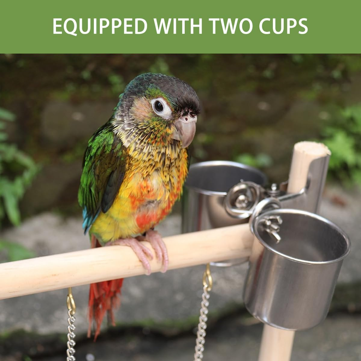 AIMALL Parrot Wooden Playground with Climbing Ladder Swing and Feeding Stand &ndash; Zanthoxylum Wood Interactive Activity Rack for Small and Medium Birds 16.14In X 14.17In image number 5