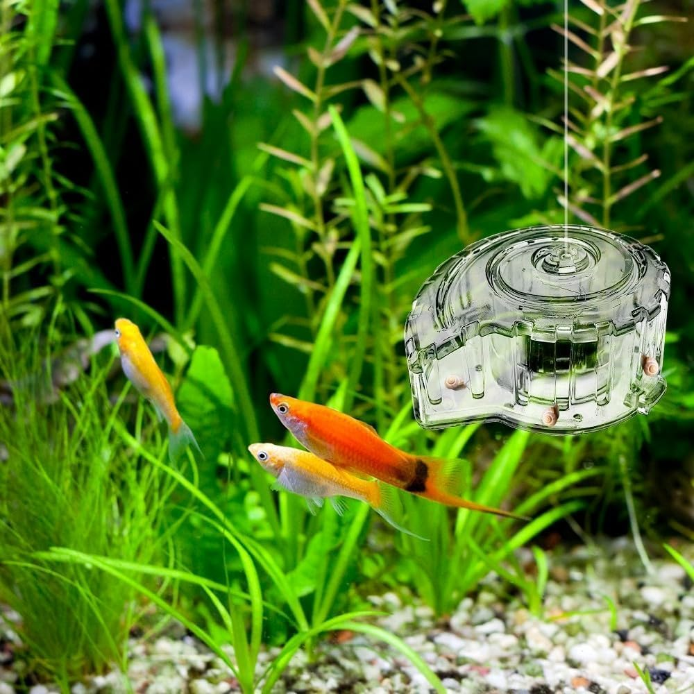 1Pcs Transparent Snail Catcher ， Natural Planaria Trap for Aquarium Fish Tanks, Safe Effective and Small Snail Catcher, Design for Easy Monitoring (Transparent) image number 5