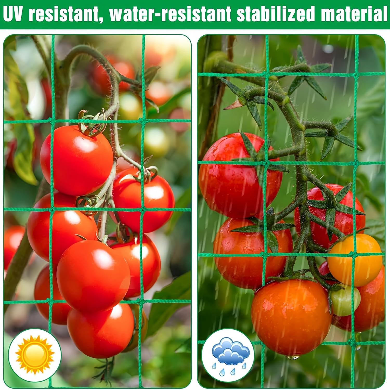 Trellis Netting for Climbing Plants,Heavy Duty 6.6X16.4Ft Garden Trellis Net - 27 Strands & 4X4In Mesh for Cucumbers, Vines, Tomatoes, Fruits & Vegetables | Durable Support for Climbing/Vining Plants image number 3