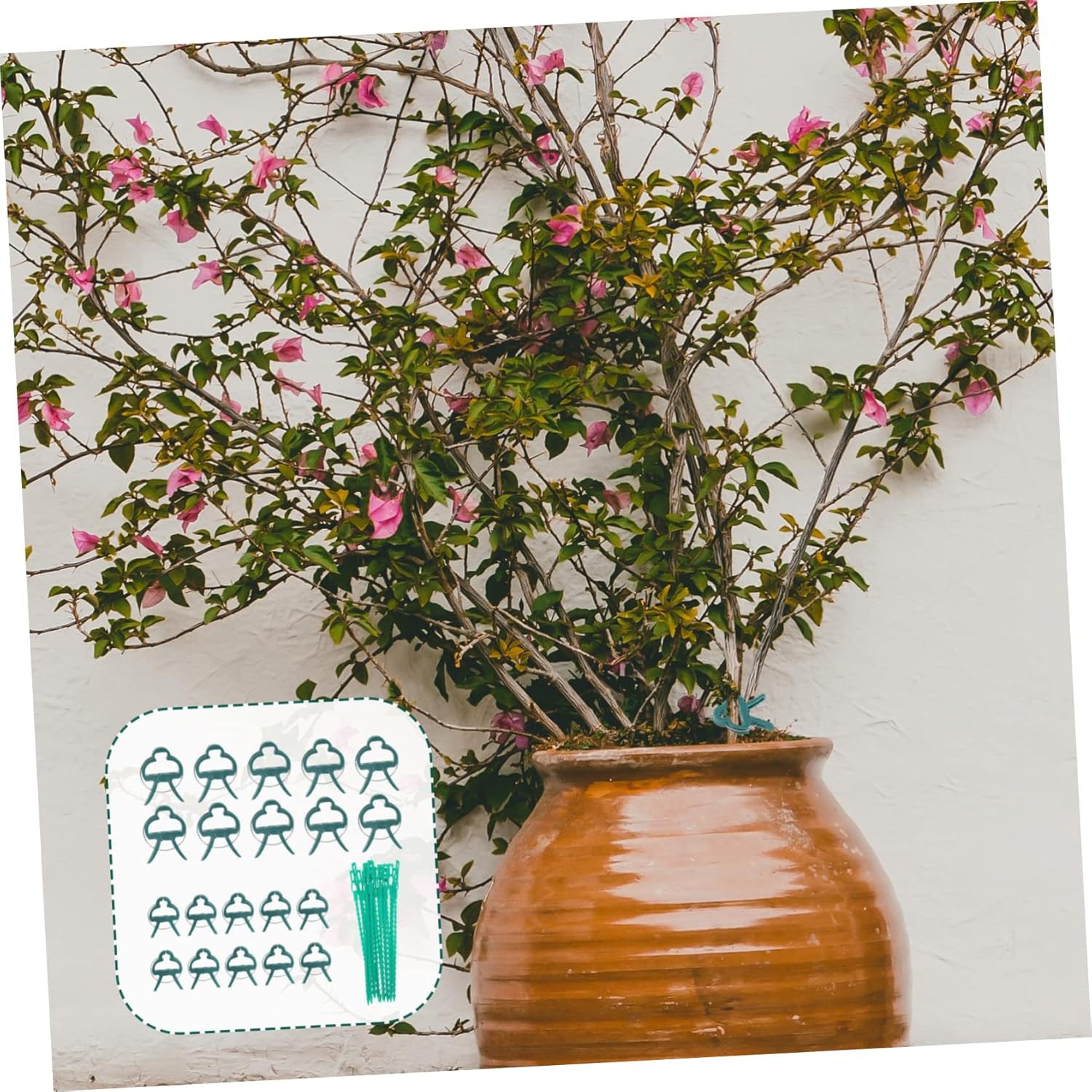 Kisangel Tie Ties Clip for Greenhouse Plants Fixing Gardening Tools Clips for Potted Branches image number 1