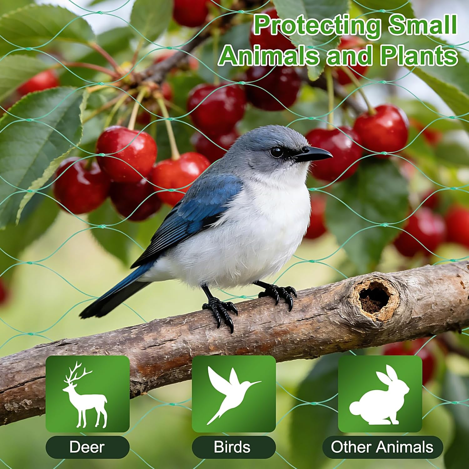 4M X 12M Bird Netting for Garden, Plant Netting for Protecting Plants, Flowers, Vegetables and Fruits,Green image number 6