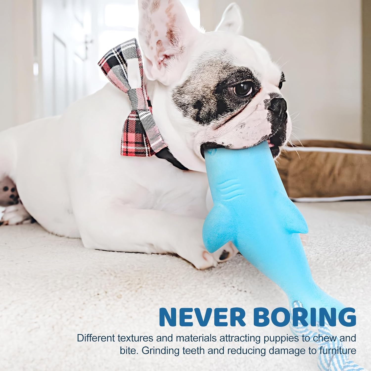 Floating Toy for Aggressive Chewers - Interactive Fetch & Play Dog Beach Toy Set: Shark + Dino image number 1